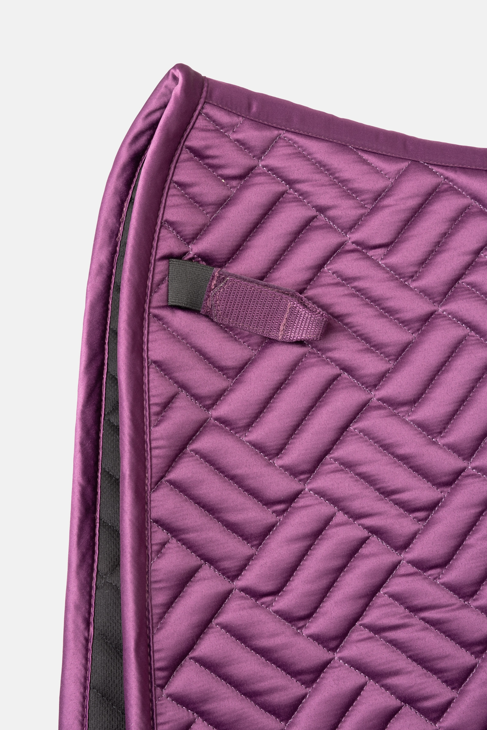 B Vertigo Pure Engineering dressursjabrak