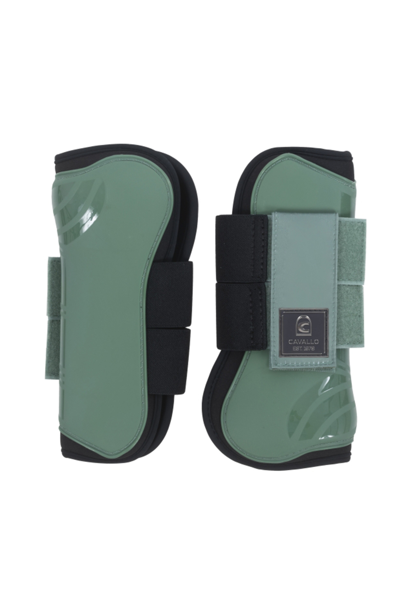 Silver Sage Cavallo CavalHolda senebelegg