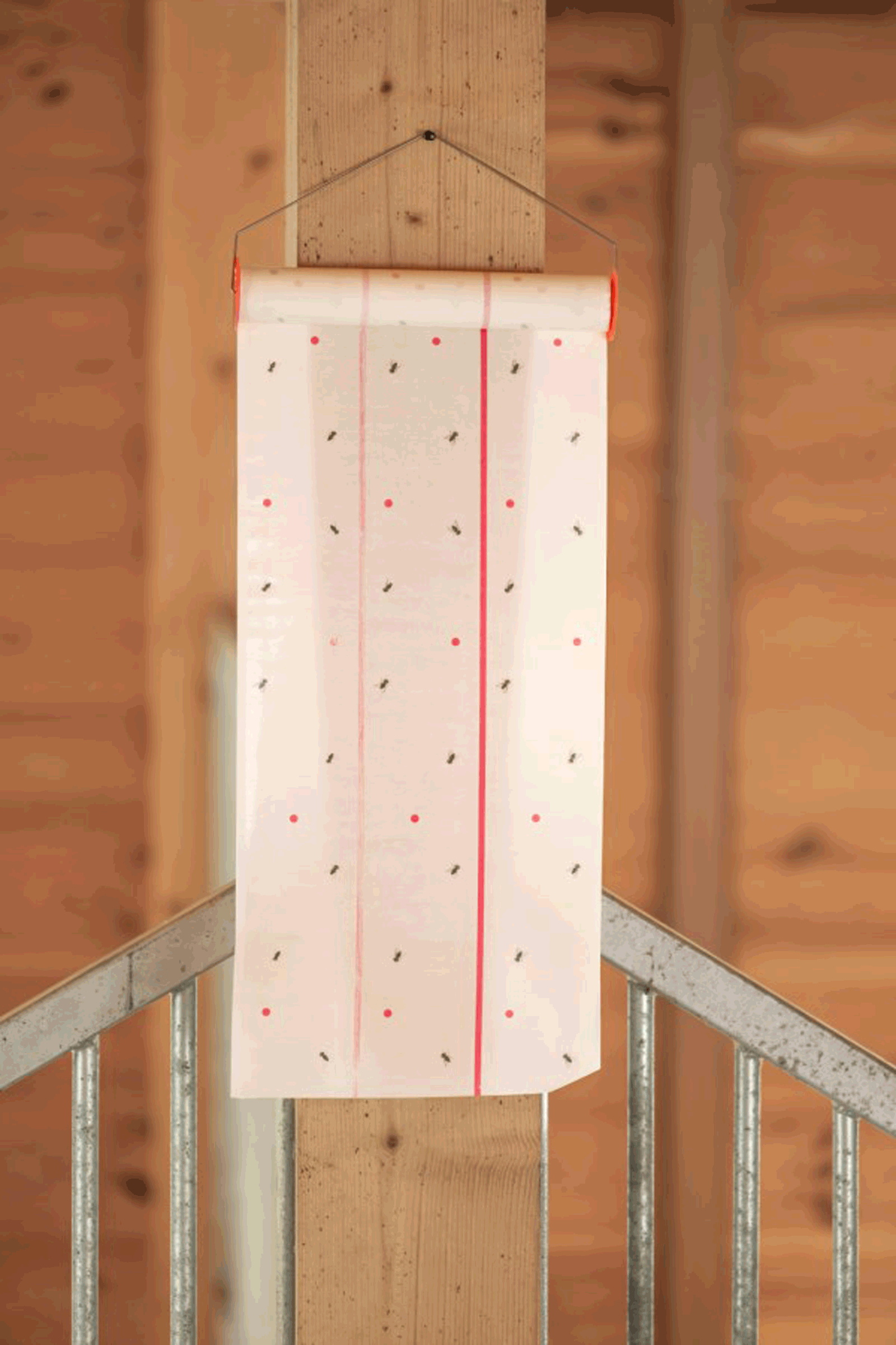 Kerbl Cit MuscaRoll fluefelle, 10 m