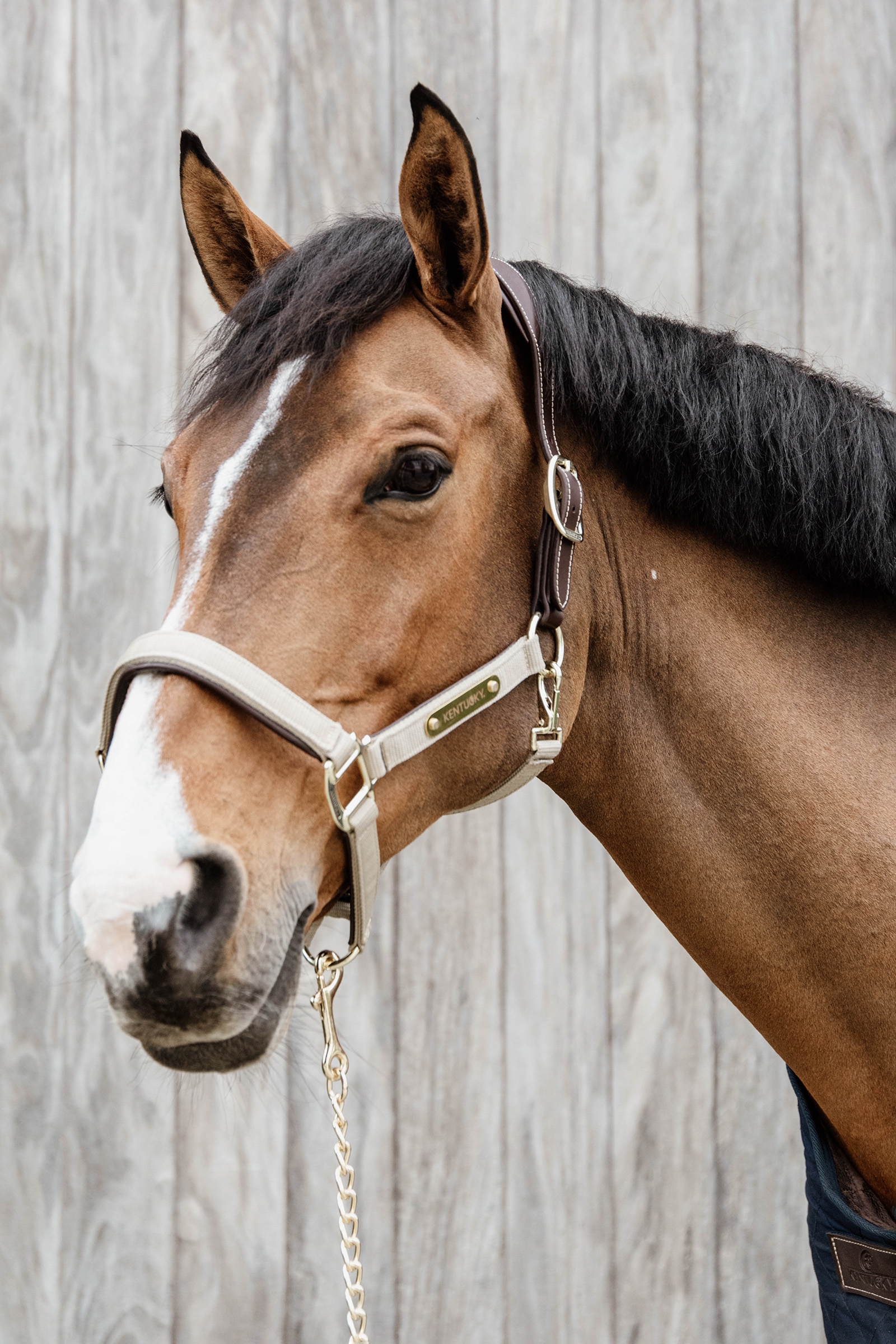 Kentucky Horsewear anatomisk nylongrime