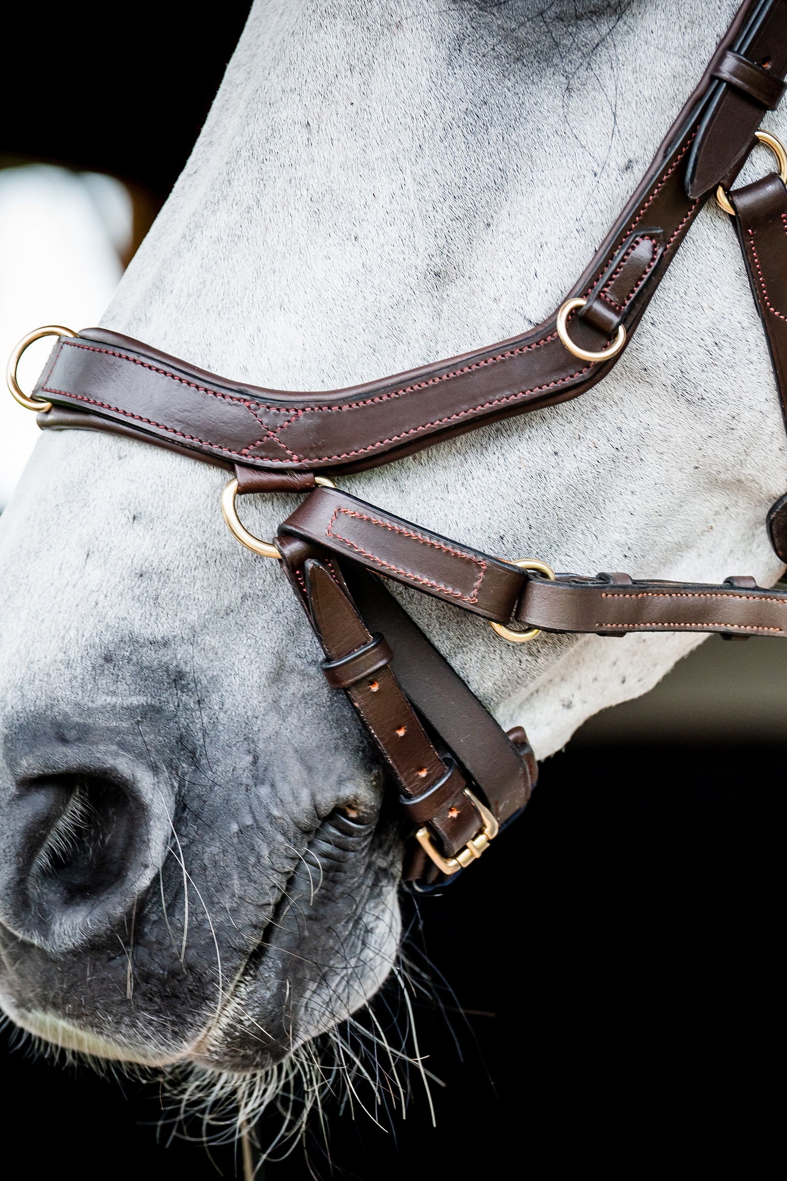 Horseware Micklem 2 Multi Hodelag