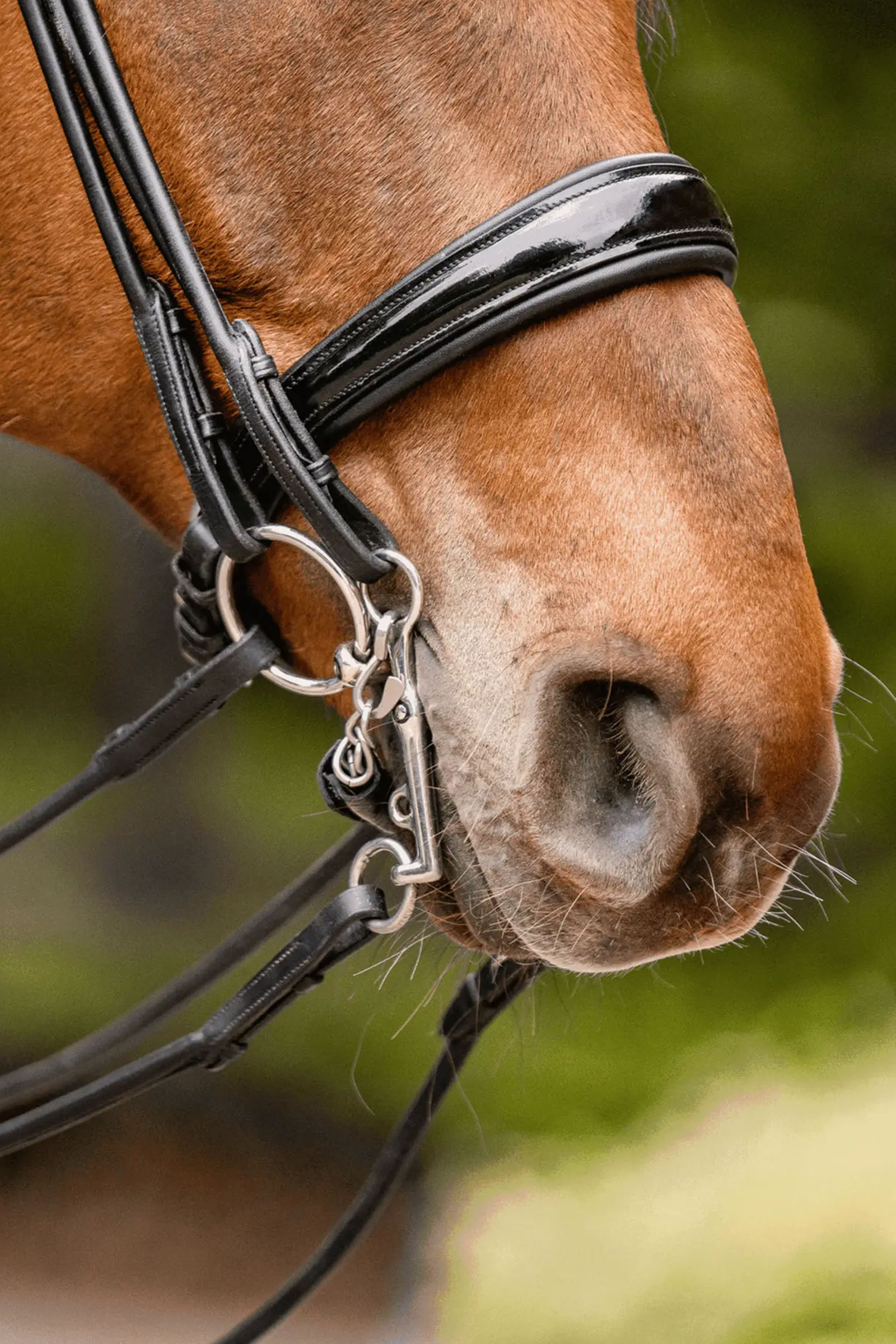 Sprenger Novocontact Weymouth 14mm Sensogan med 5cm rustfrie st&aring;lkjefter