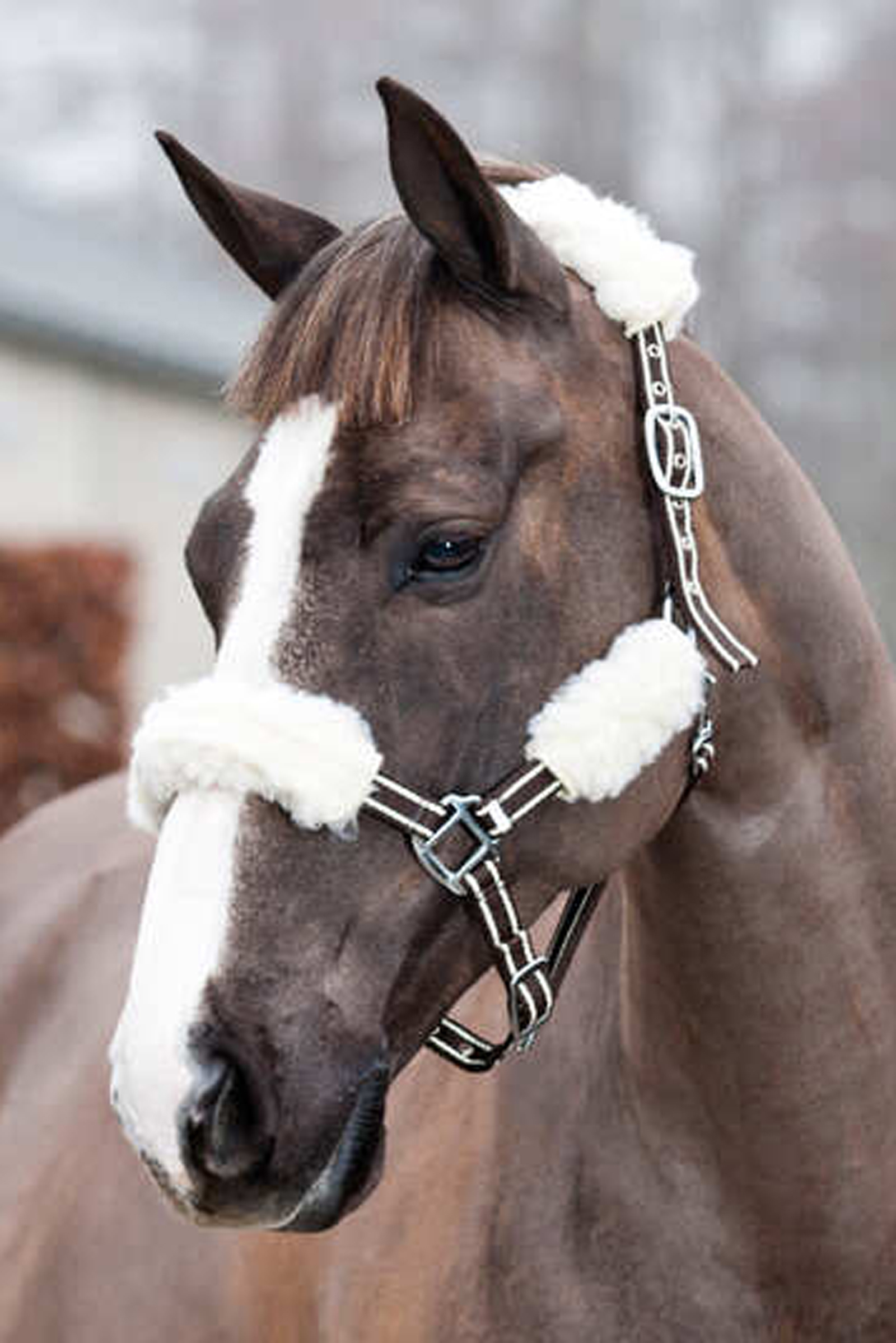 Horze grimeovertrekk, 4-pakning