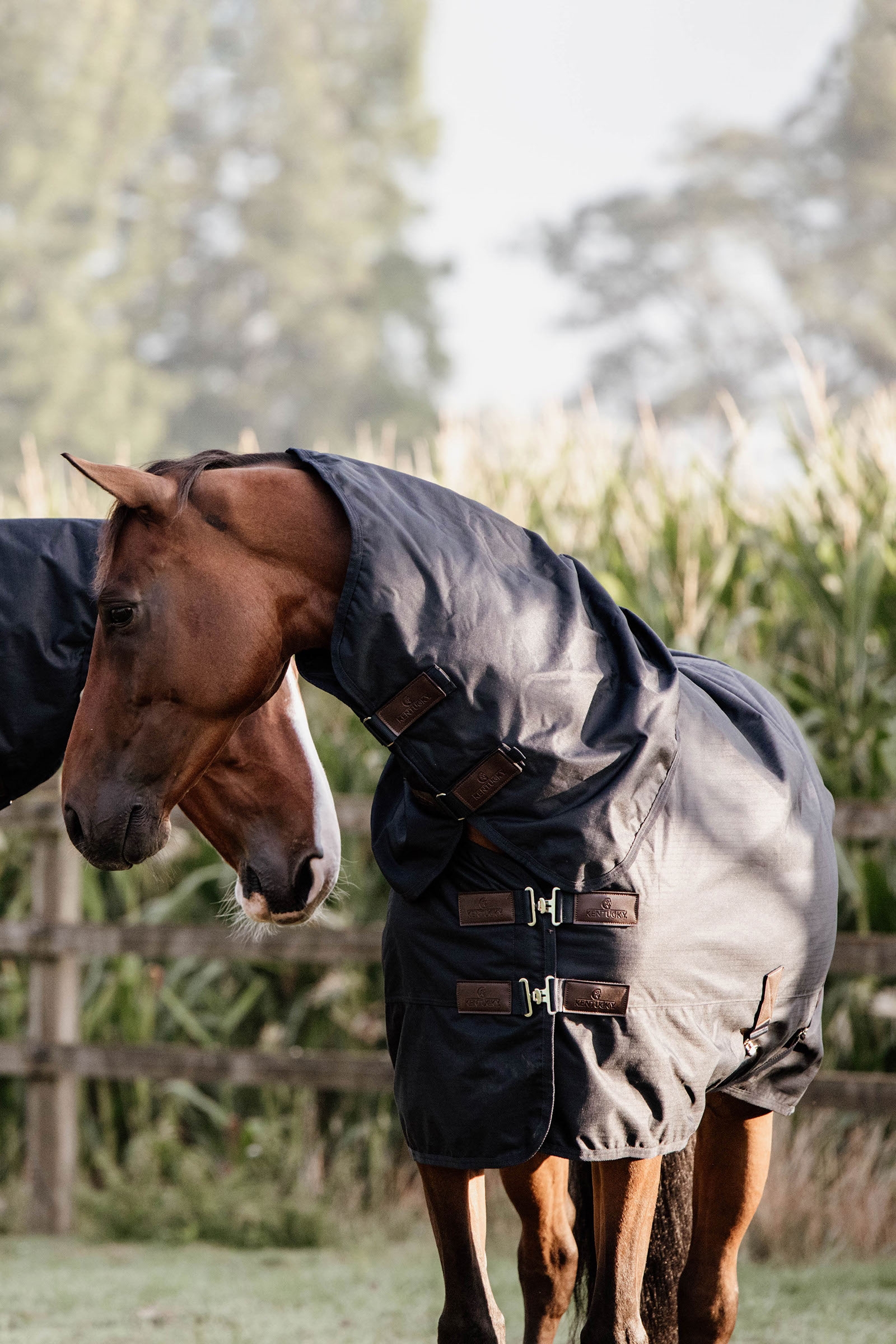 Kentucky Horsewear All Weather Waterproof Classic utedekken, 0 gram