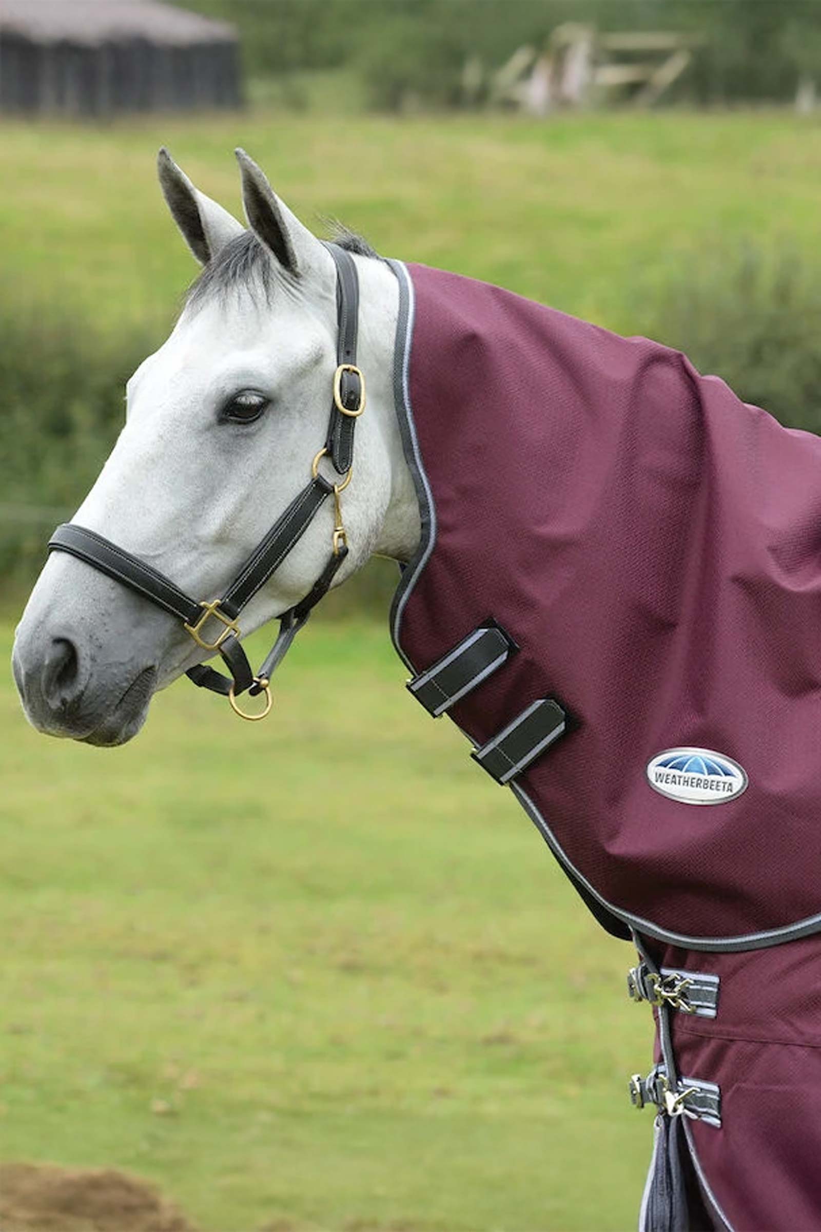 Weatherbeeta Comfitec Plus Dynamic II hals Lite, 0g