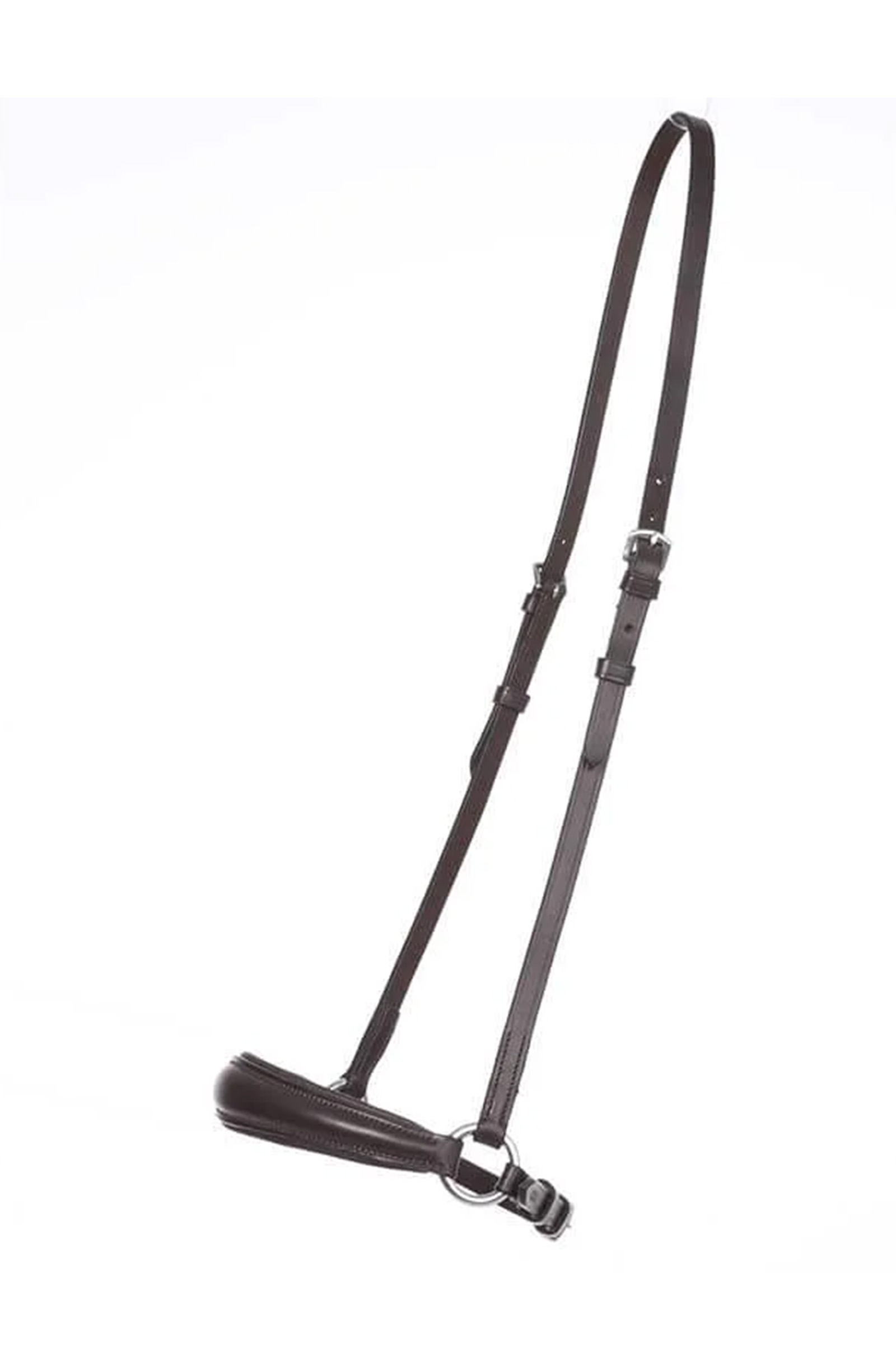 Kavalkade hanoveransk nesereim