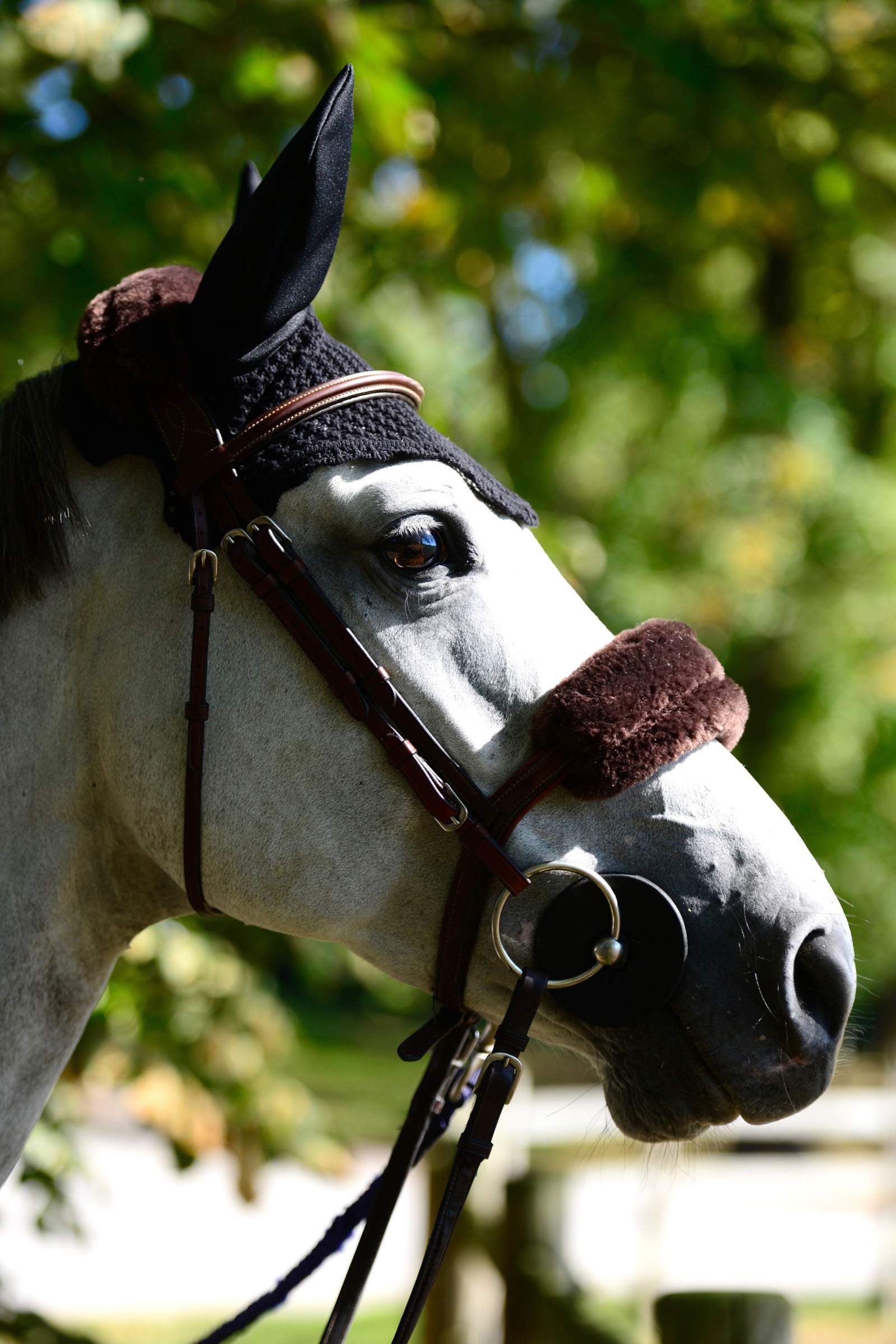 Kentucky Horsewear saueskinnsbeskyttelse for nesereim