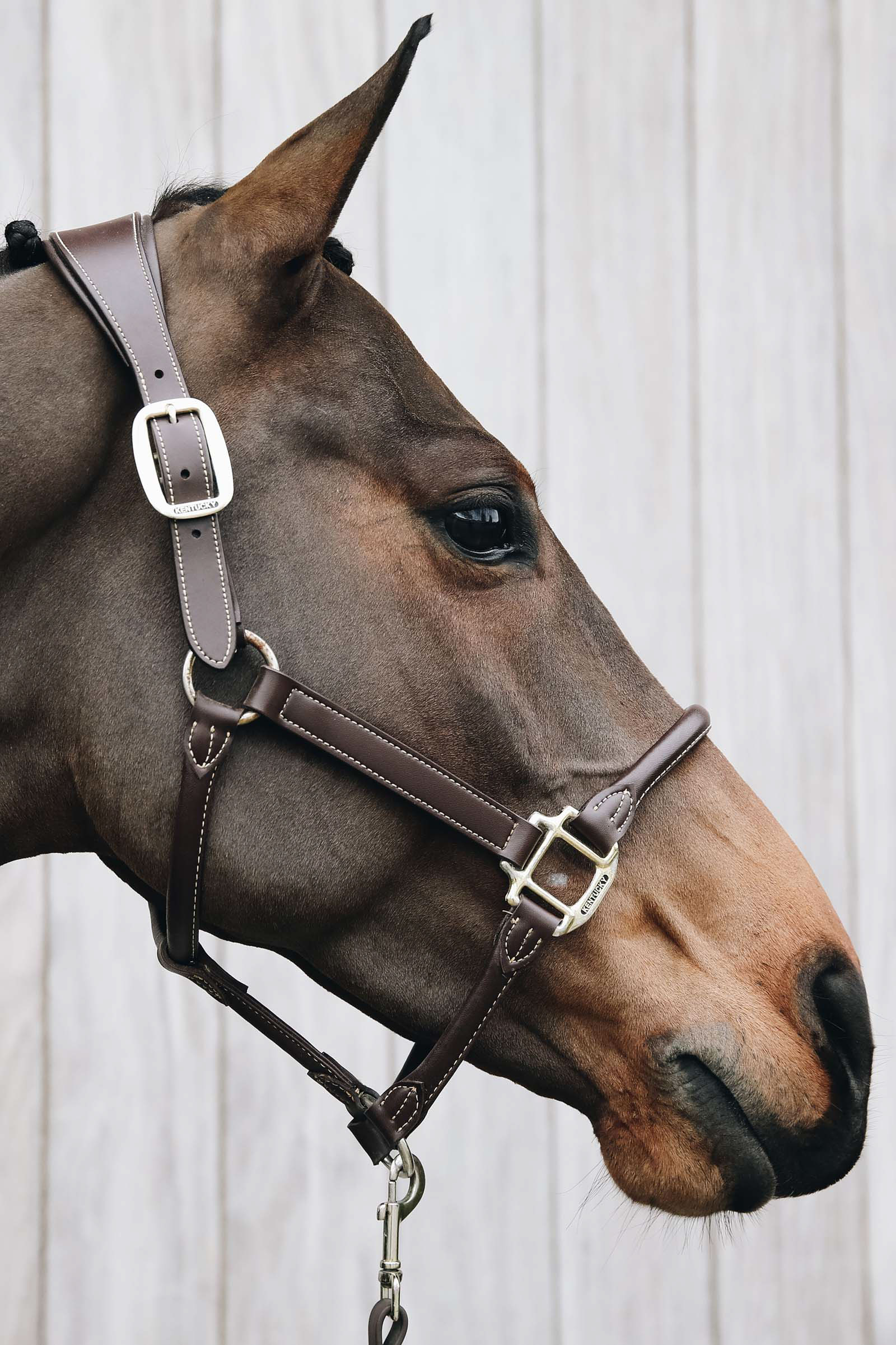 Kentucky Horsewear anatomisk l&aelig;rgrime