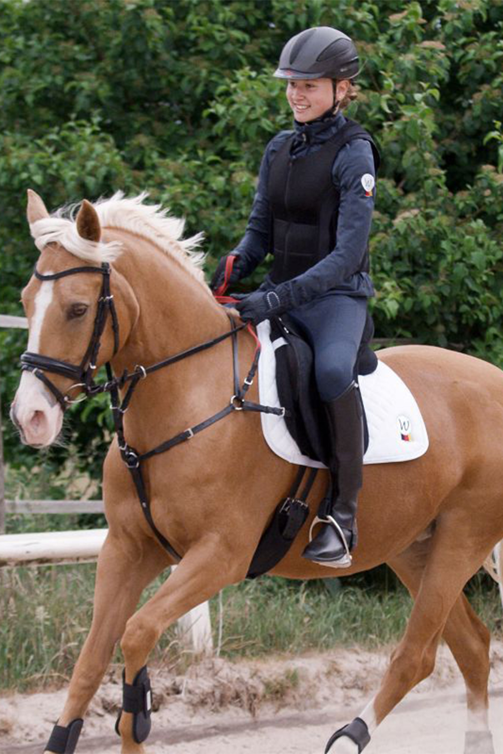 Waldhausen Secutrust Brystplate med sikkerhetsliner