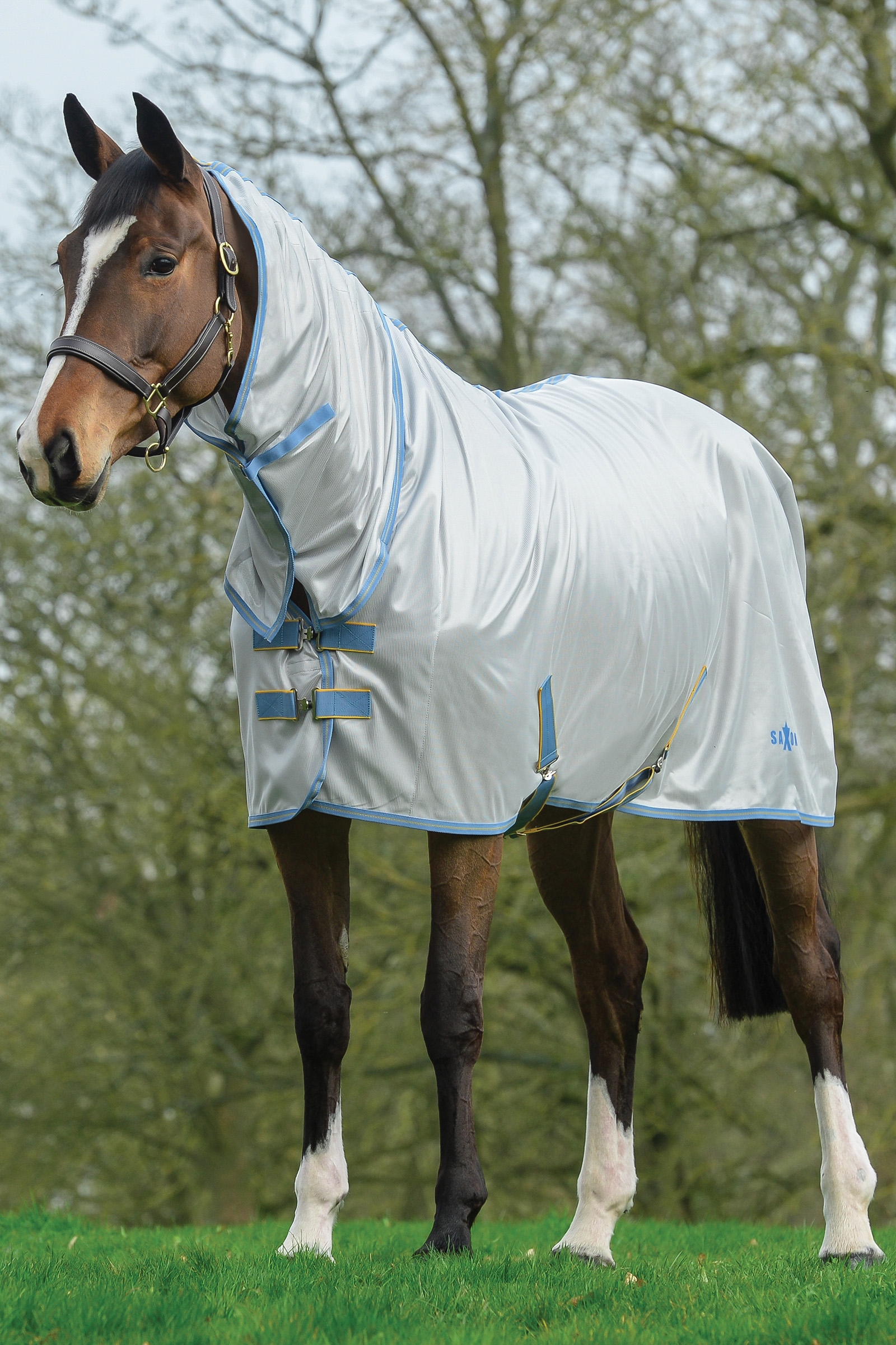 Saxon Mesh Combo dekken med hel hals