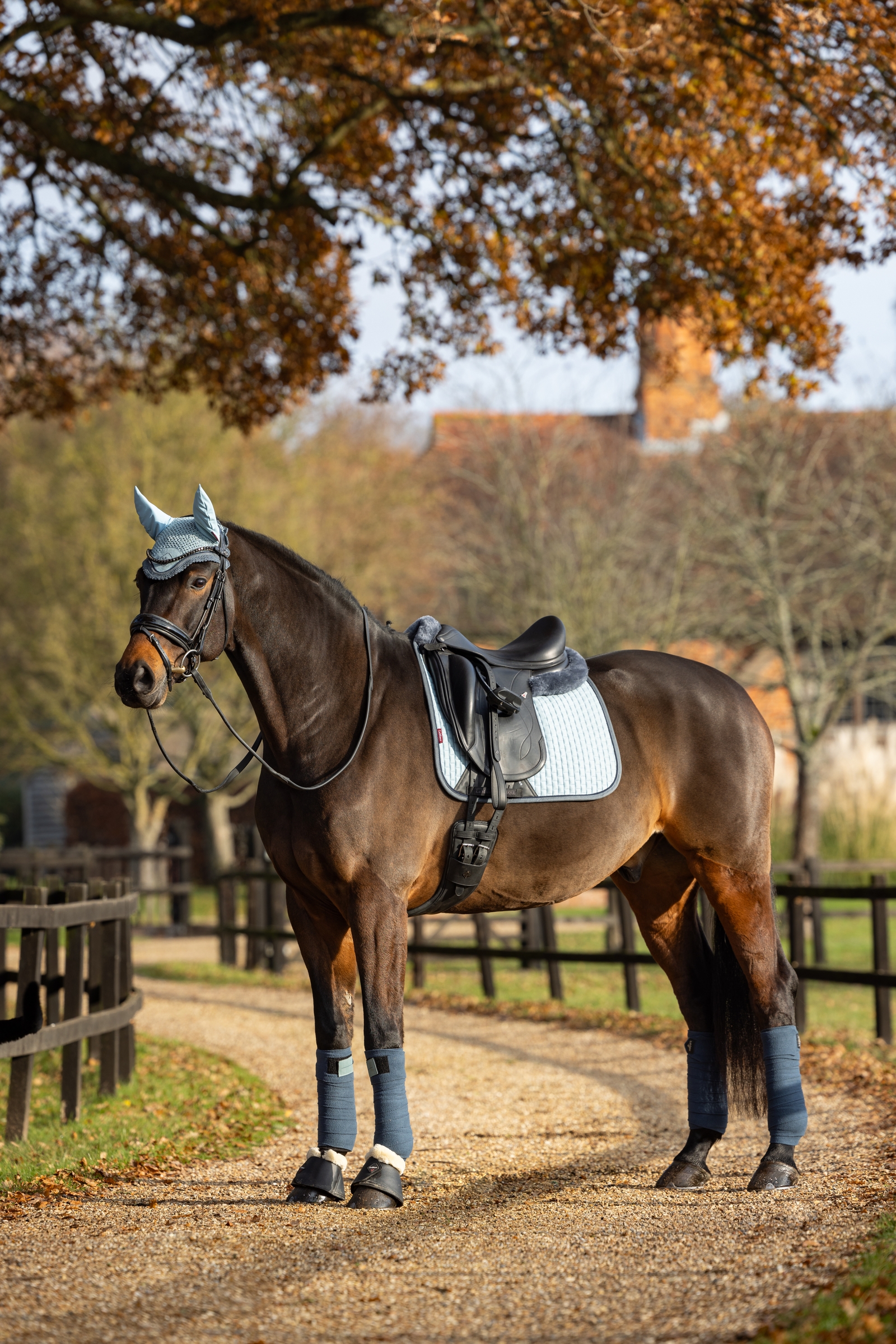 LeMieux Suede Square Sottosella da dressage