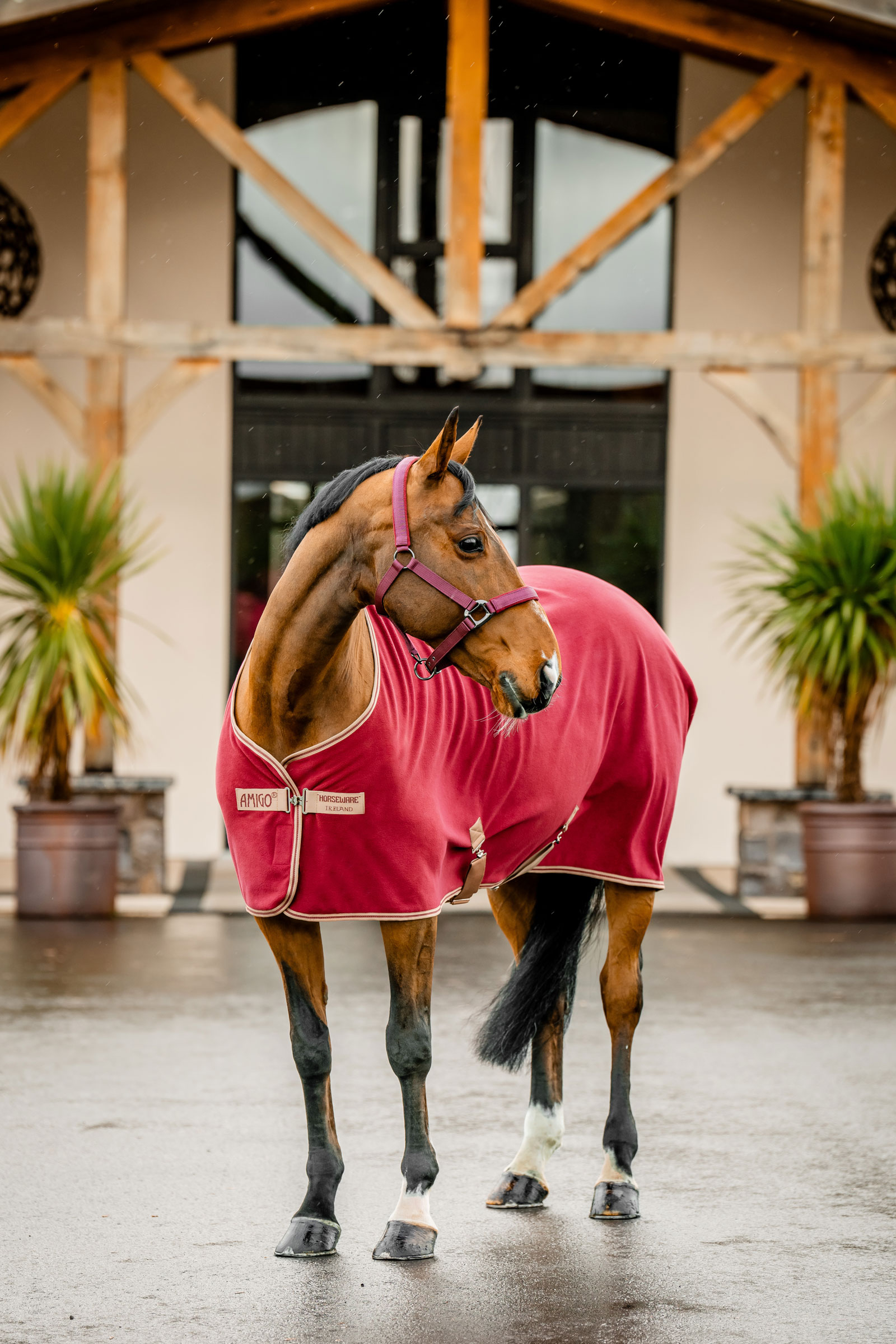Horseware Amigo Fleece Cooler
