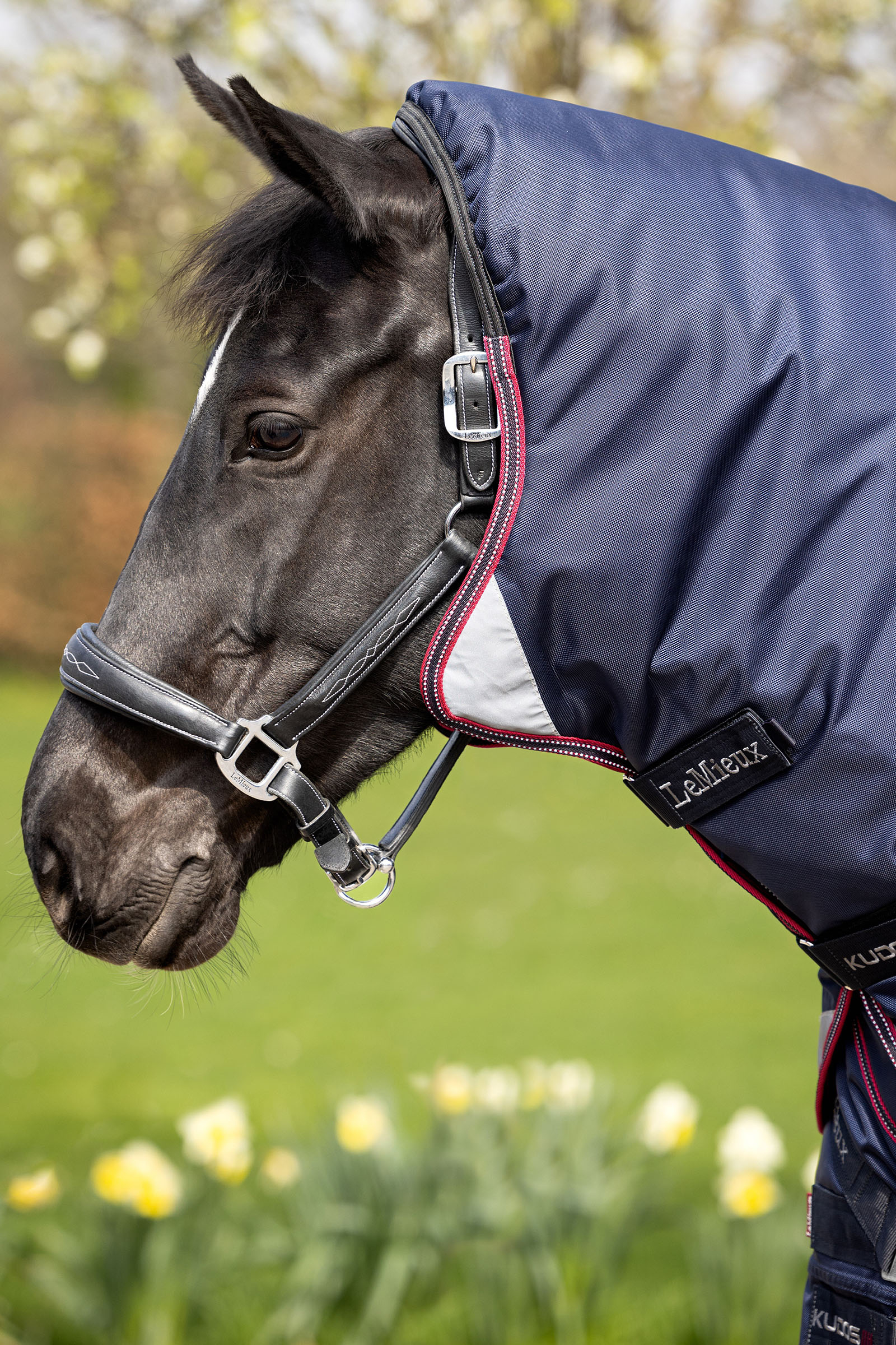 LeMieux Kudos Thermo Layer utedekken 100g