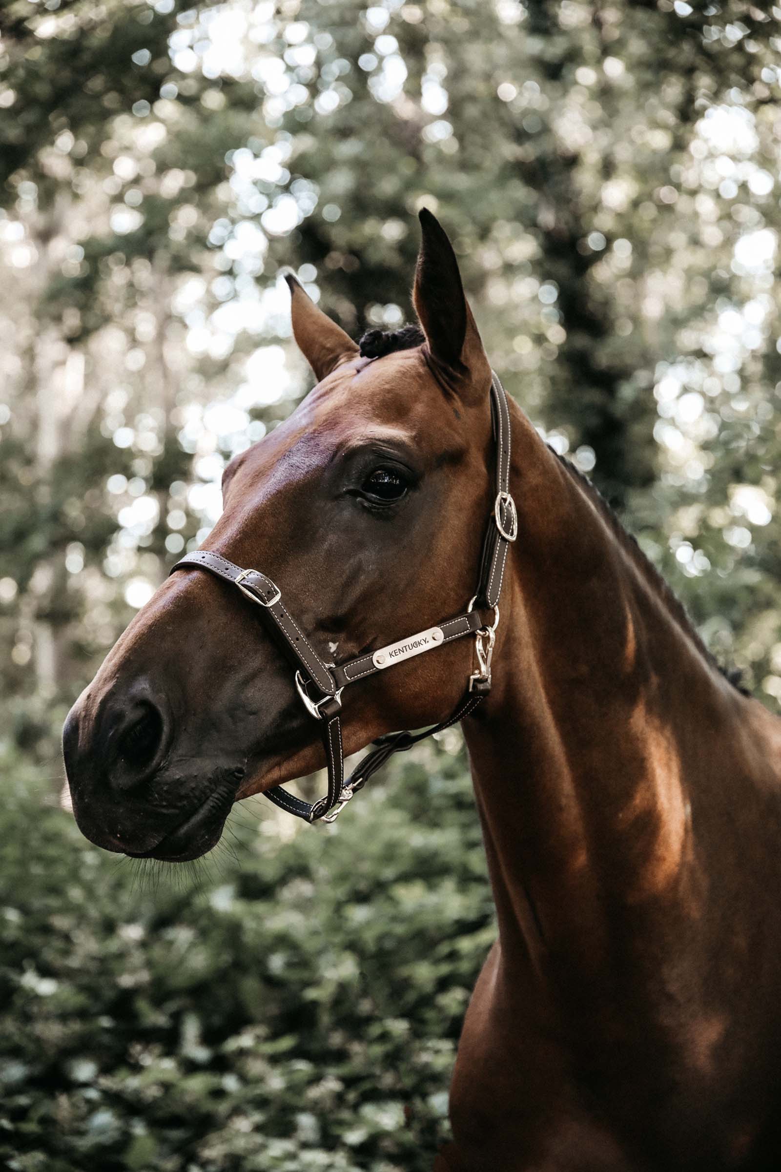 Kentucky Horsewear Flexible lærgrime nakkestykket