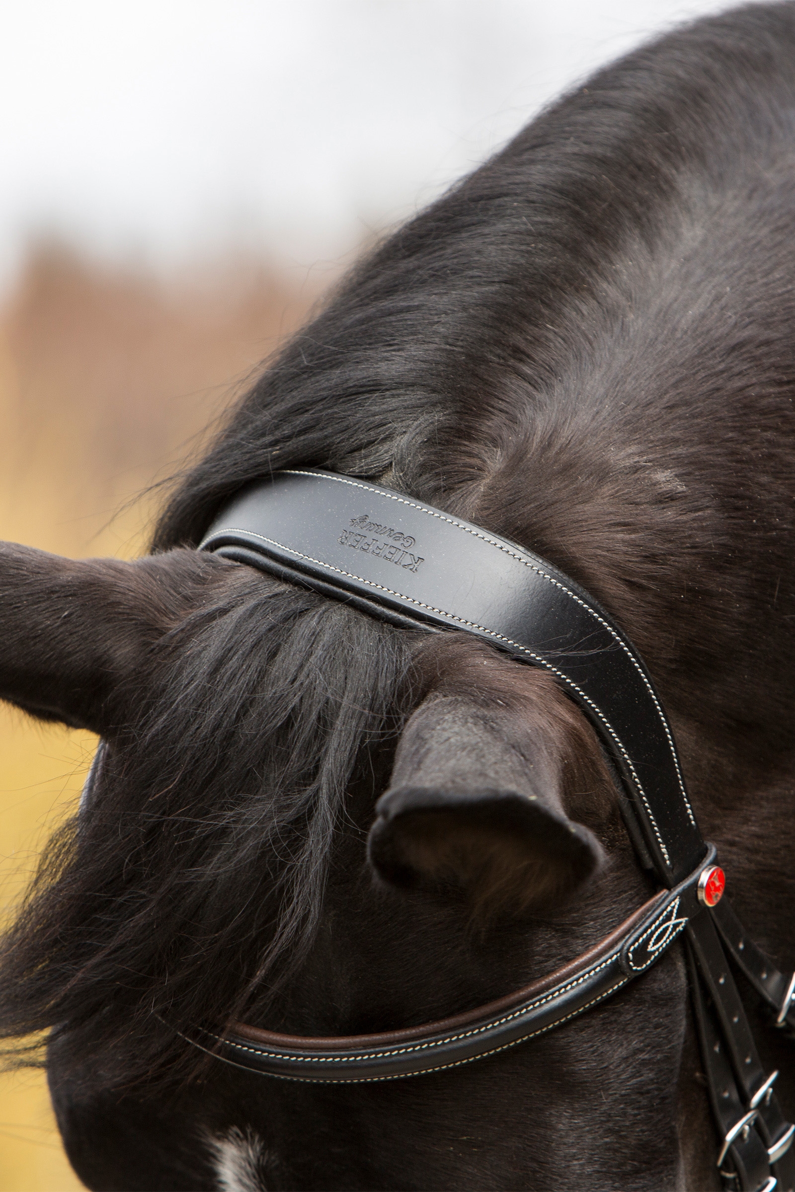 Kieffer Vera hodelag