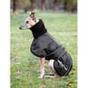 Back on Track Whippet hundedekken, L-XXL
