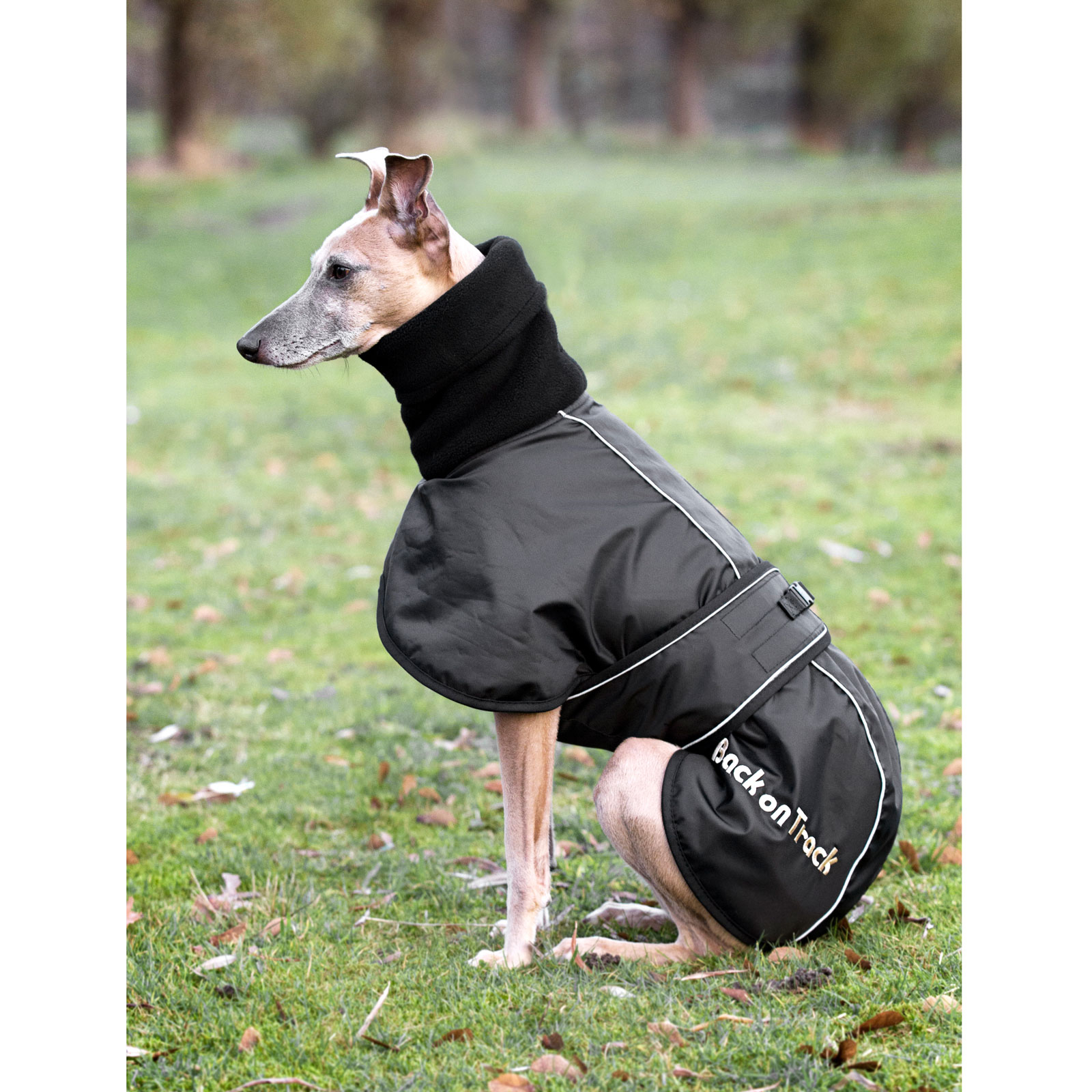 Back on Track Whippet hundedekken, L-XXL