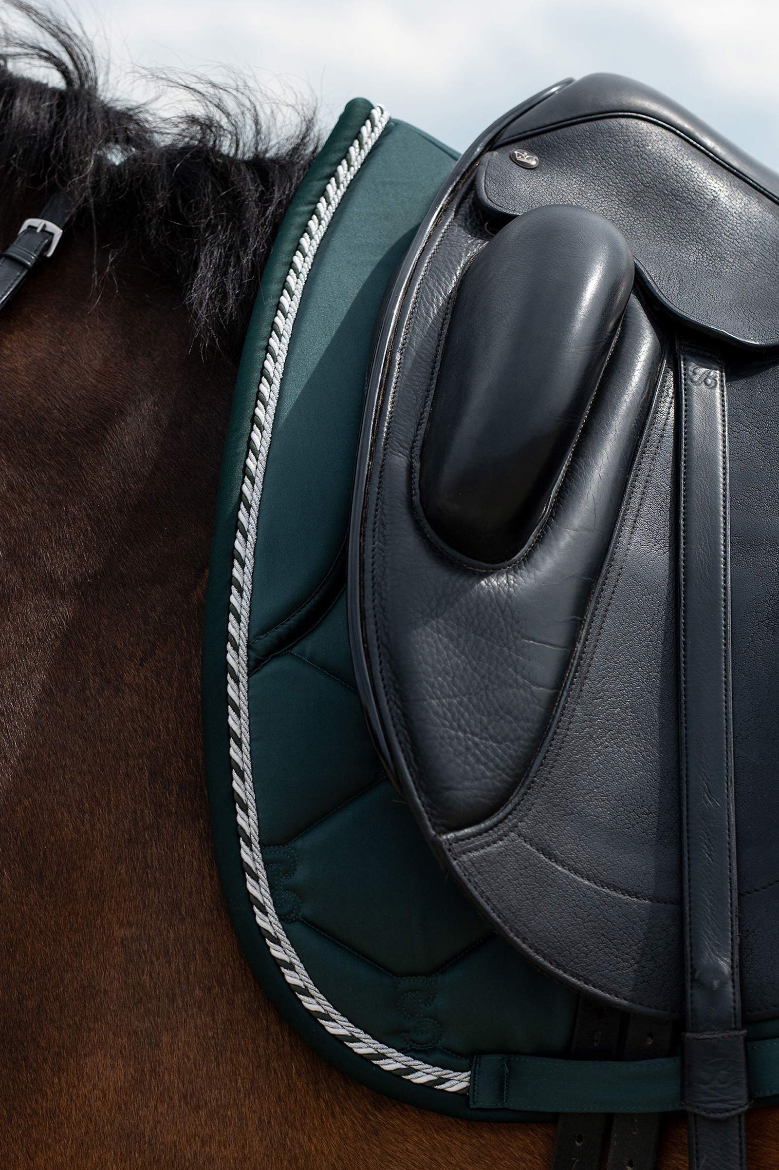 PS of Sweden Signature dressursjabrak