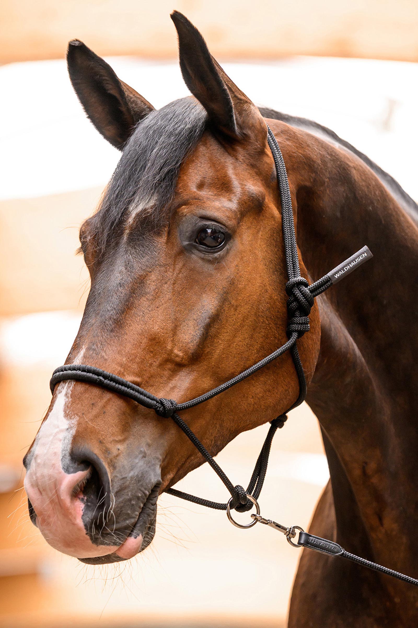 Waldhausen knutegrime med bevegelig ring