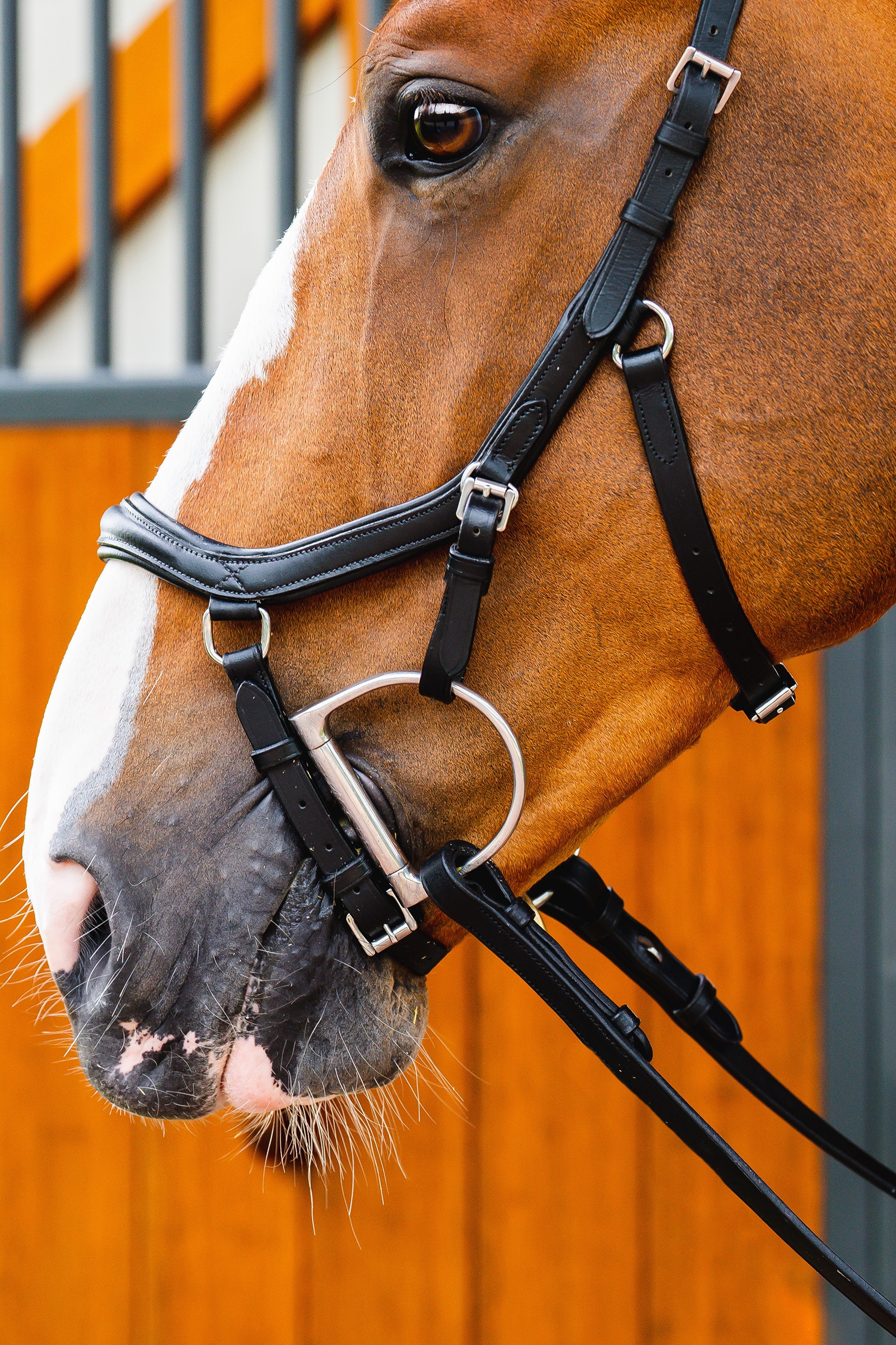 Horseware Micklem 2 Deluxe Competition Hodelag