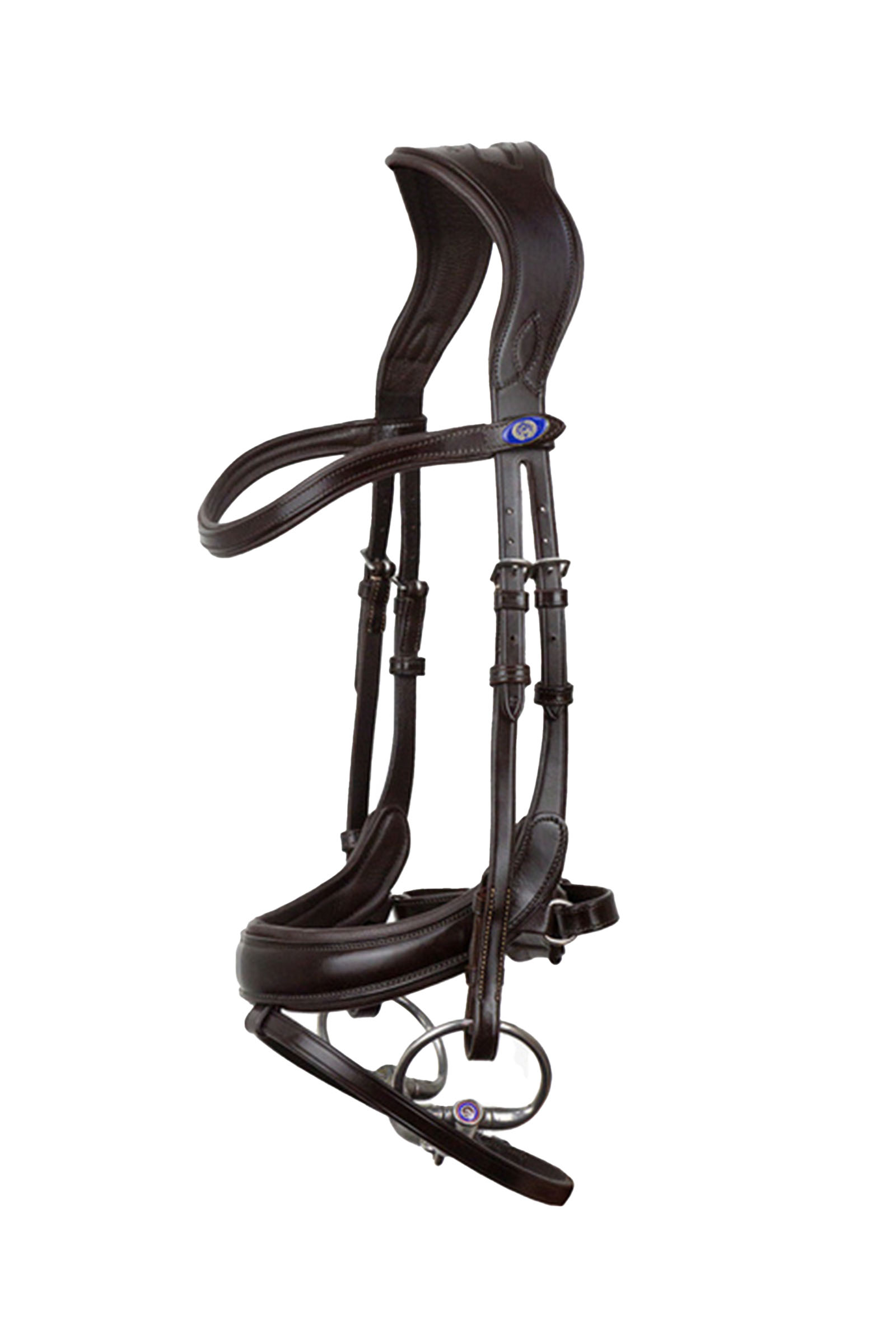 PS of Sweden Paladin hodelag