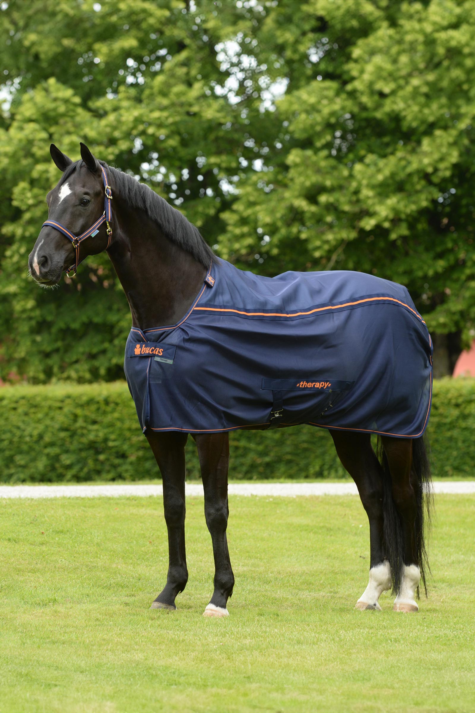 Bucas Therapy Mesh Cooler-dekken