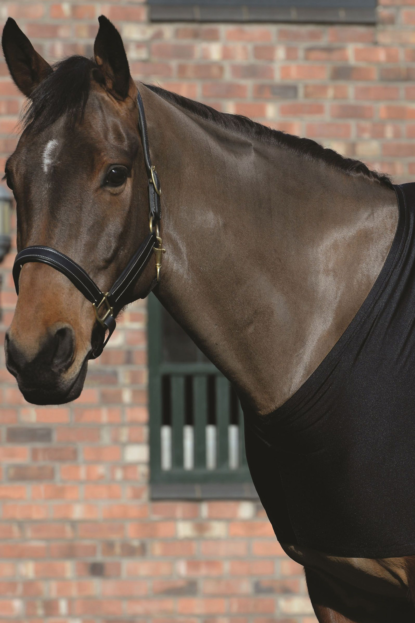 Weatherbeeeta stretch bogbeskyttelse