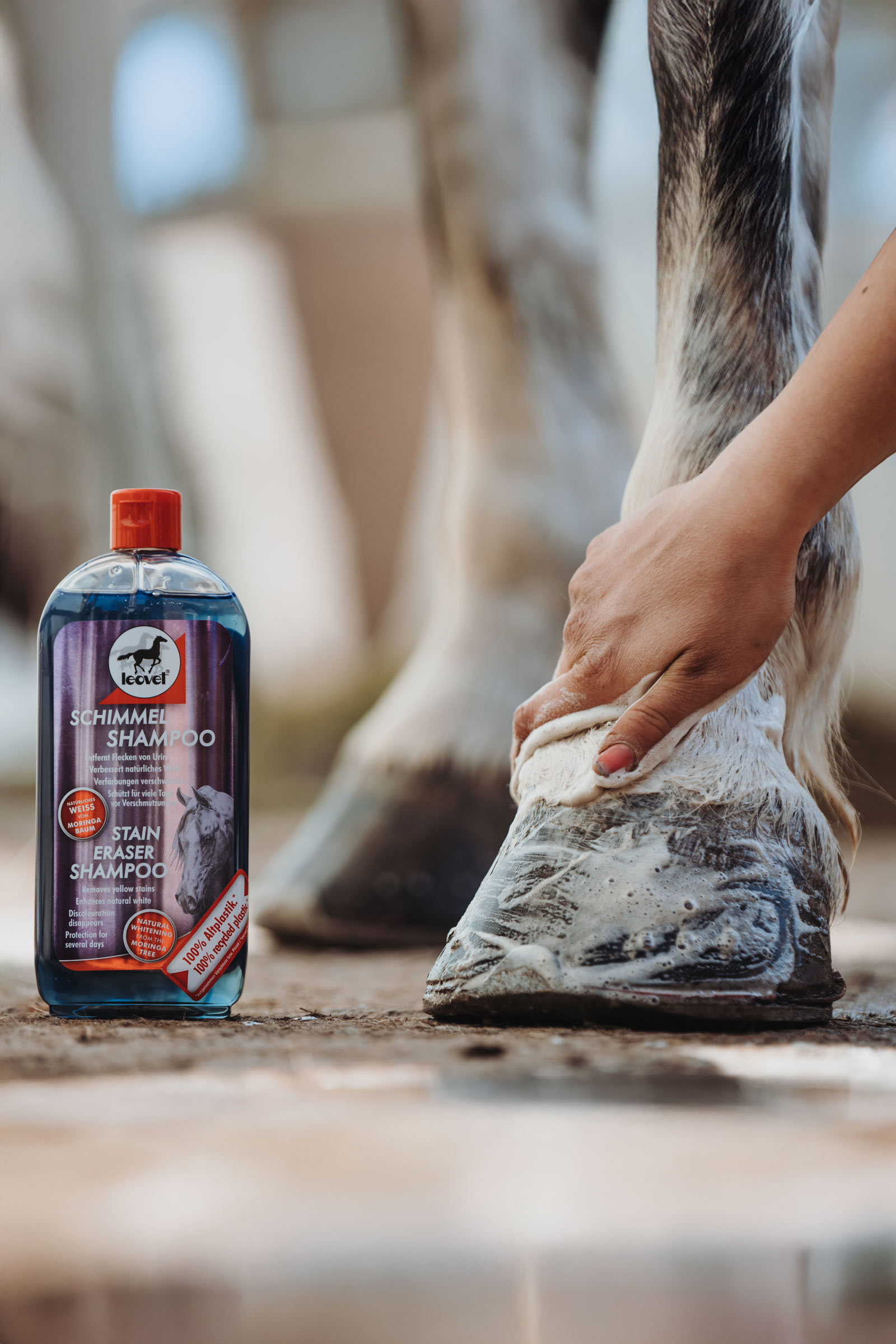 Leovet Stain Eraser sjampo