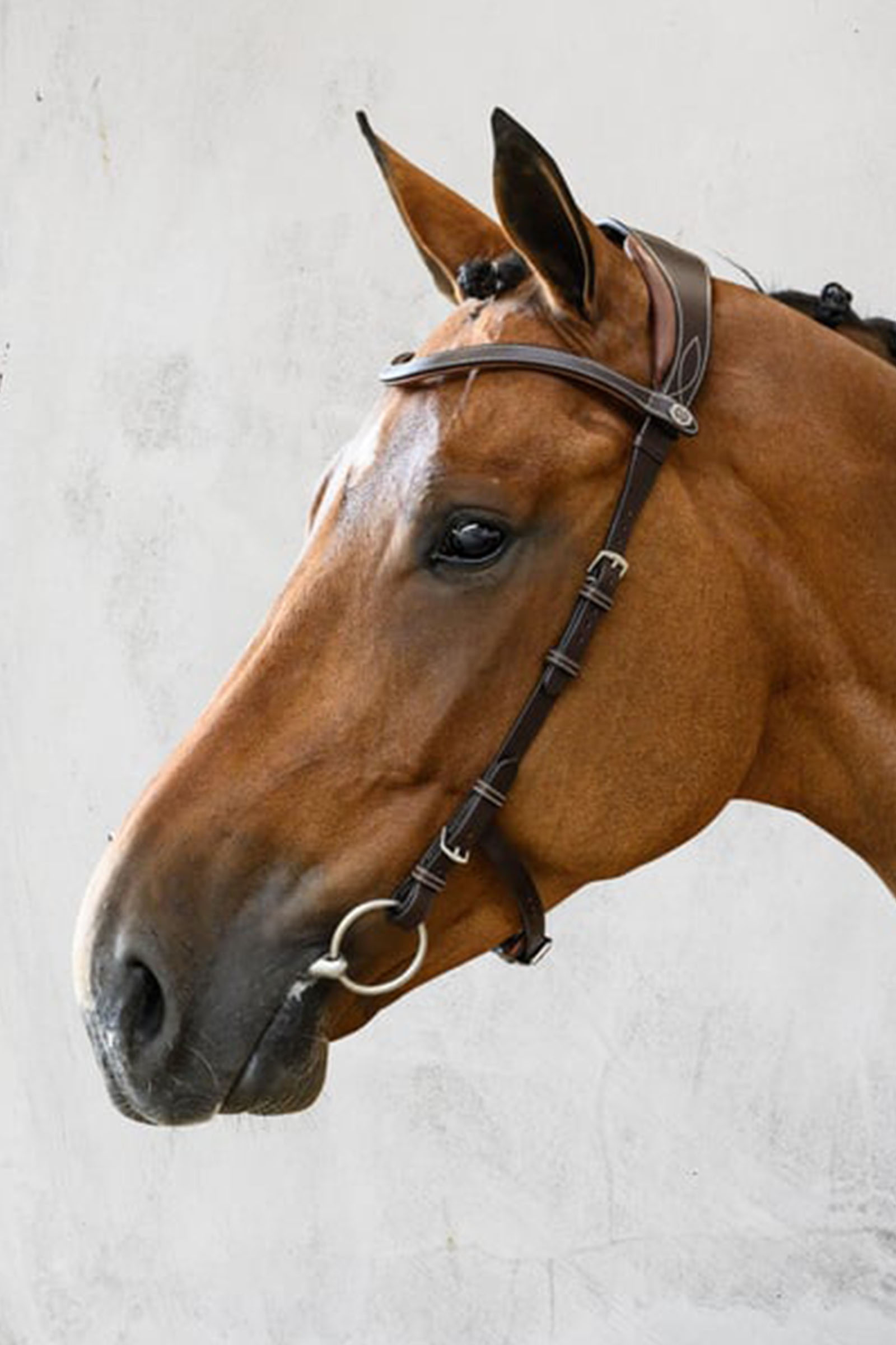 PS of Sweden Helsinki hodelag