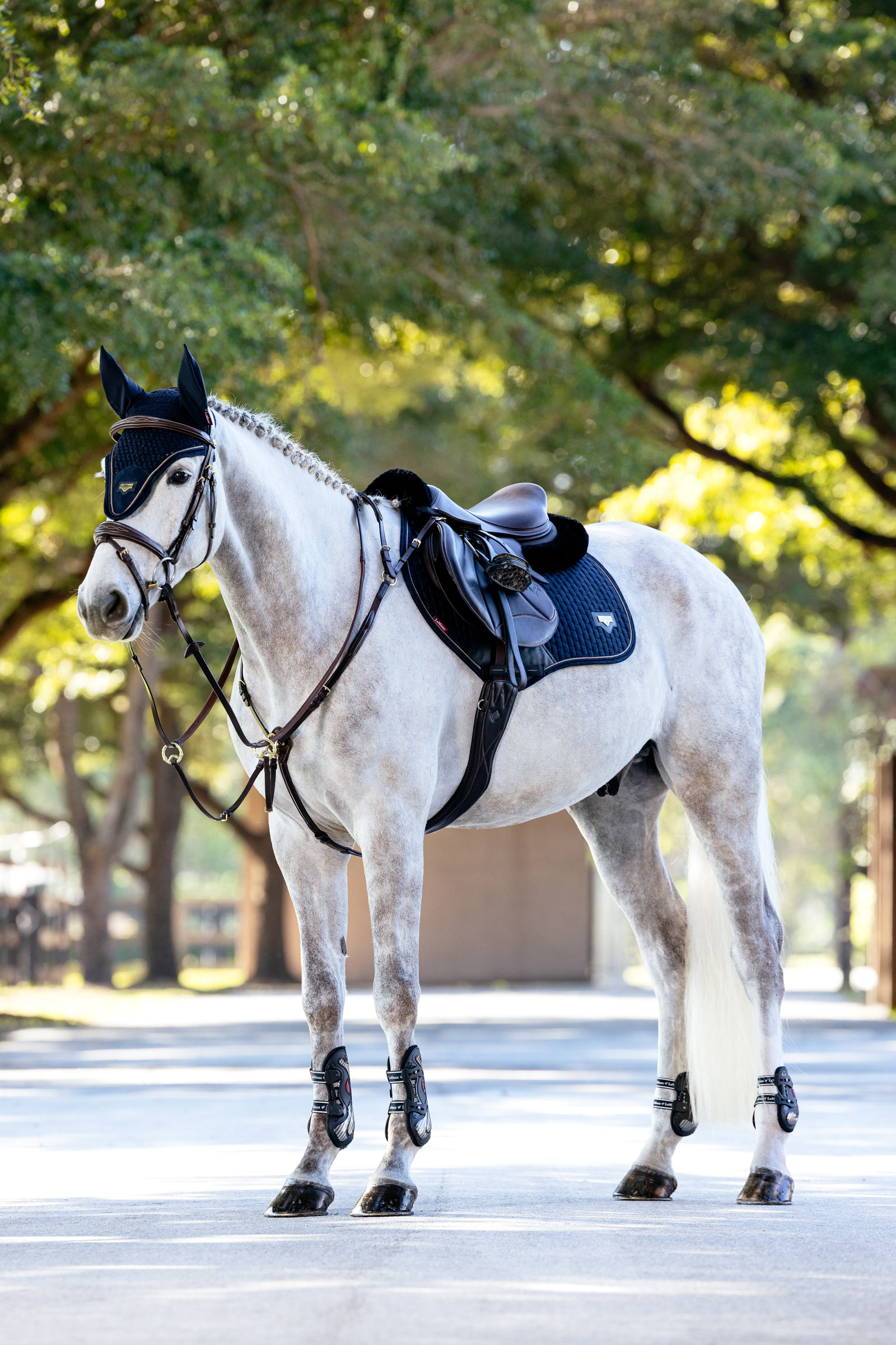 LeMieux Puissance Close Contact sprangsjabrak i imitert semsket materiale