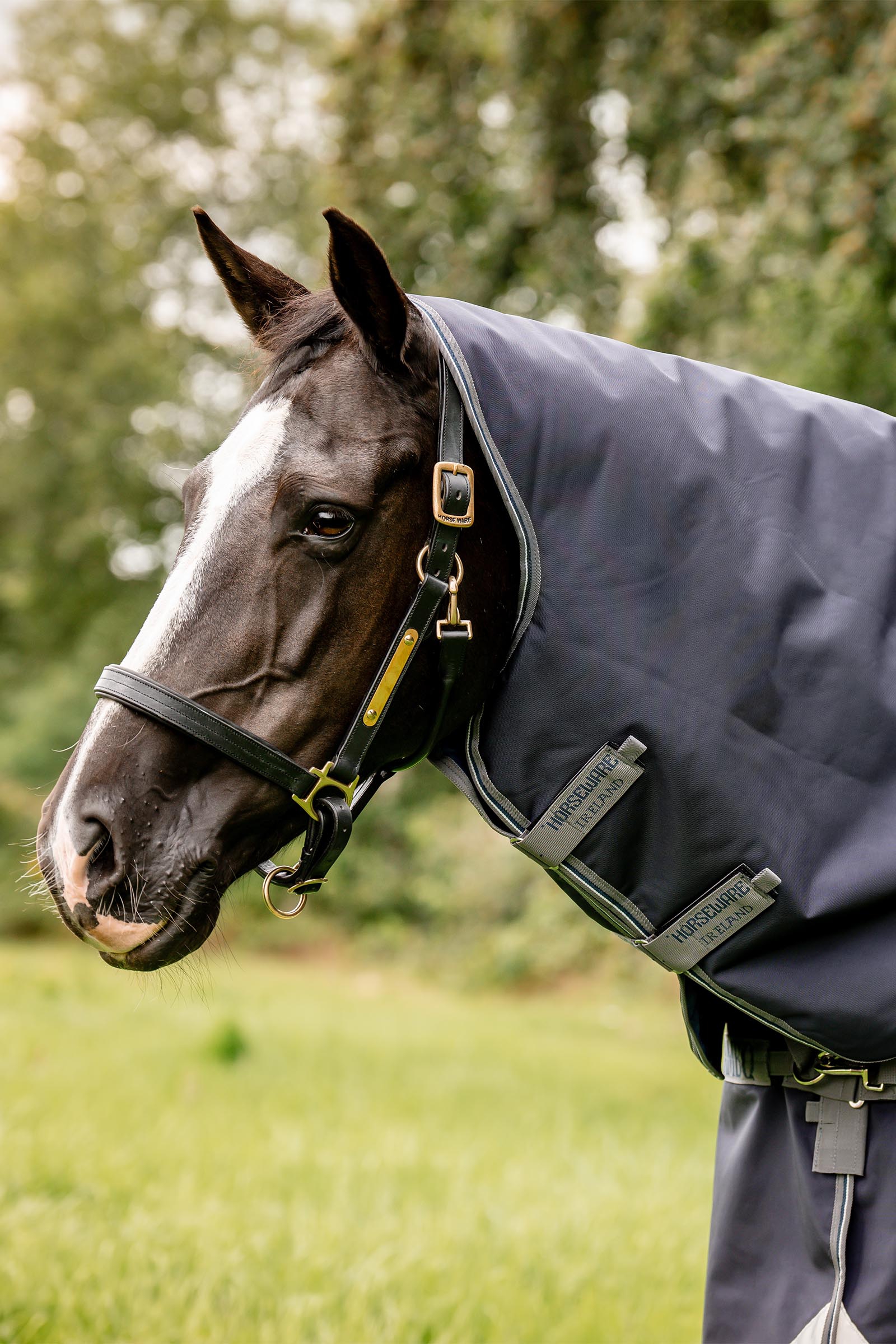 Horseware Rambo Optimo Plus Budle Beitedekken (med 200g Liner)