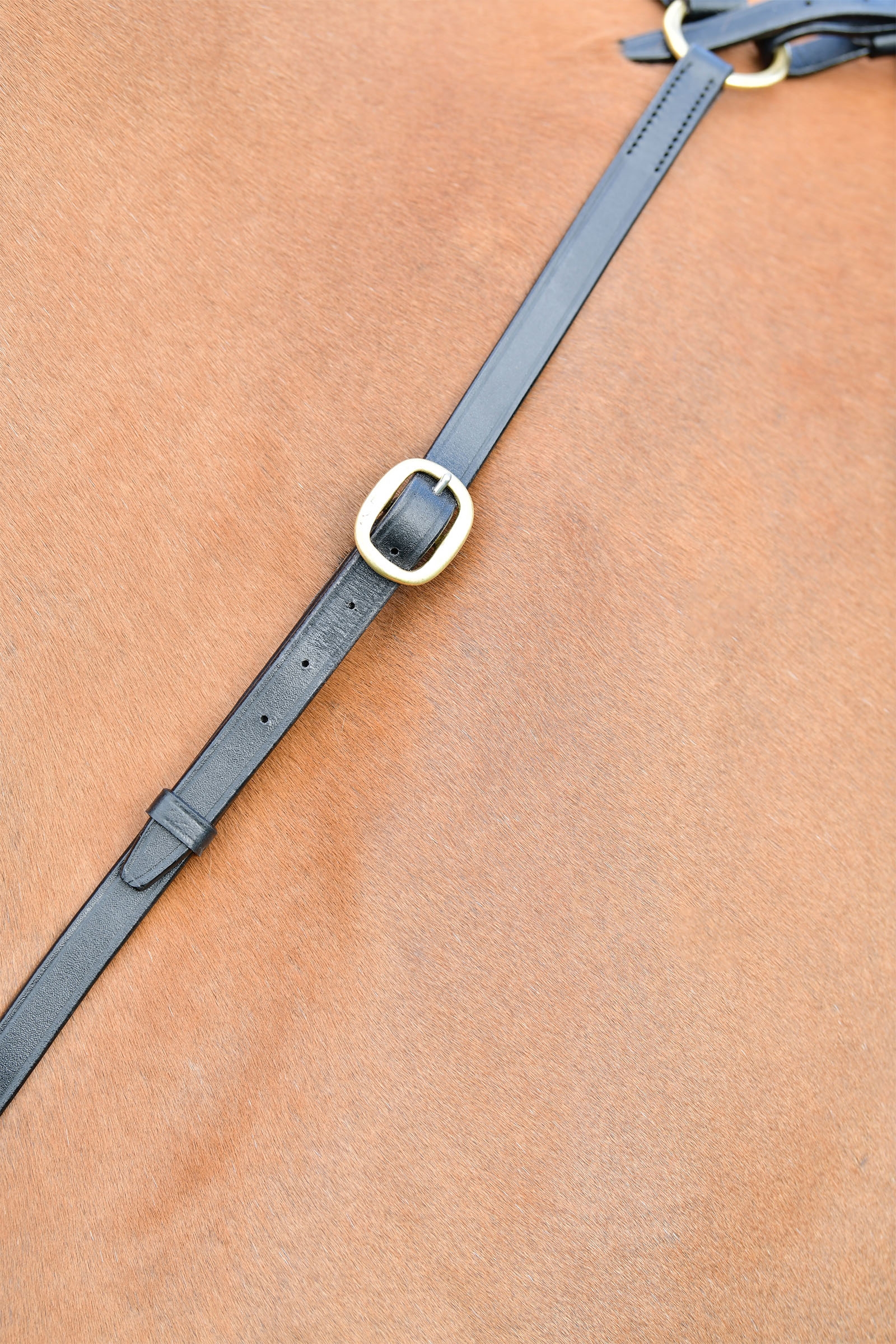 Kincade Classic 3-punkts brystplate med l&oslash;pende martingal