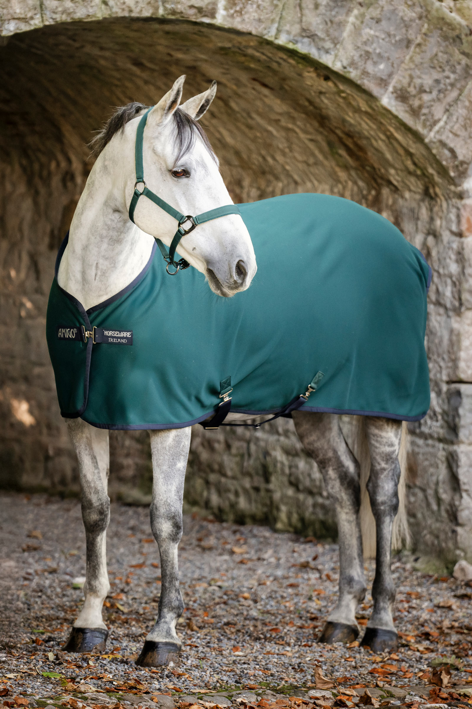 Dynasty Green/Navy/Silver Horseware Amigo jersey svettedekken