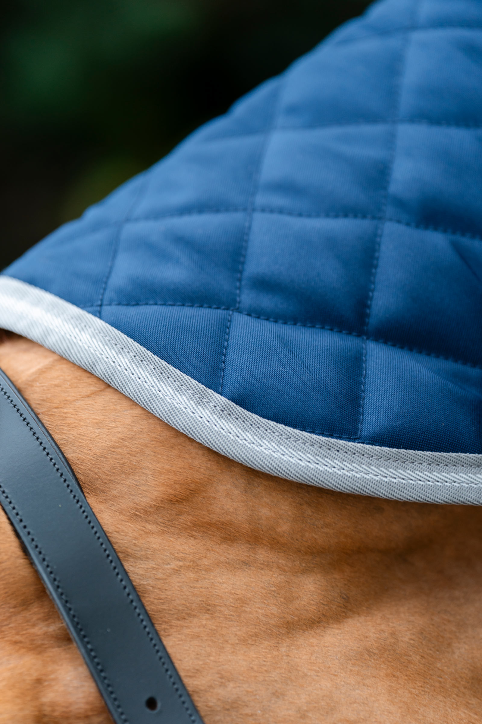 Horseware Amigo vattert stalldekken Plus, 200 g