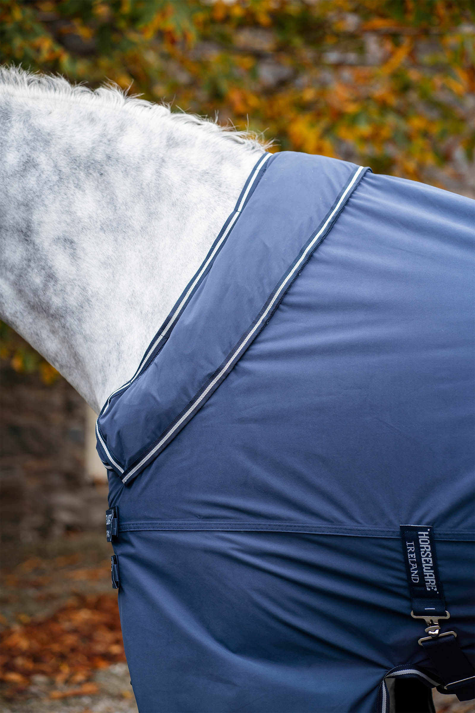 Horseware Show Ready dekken