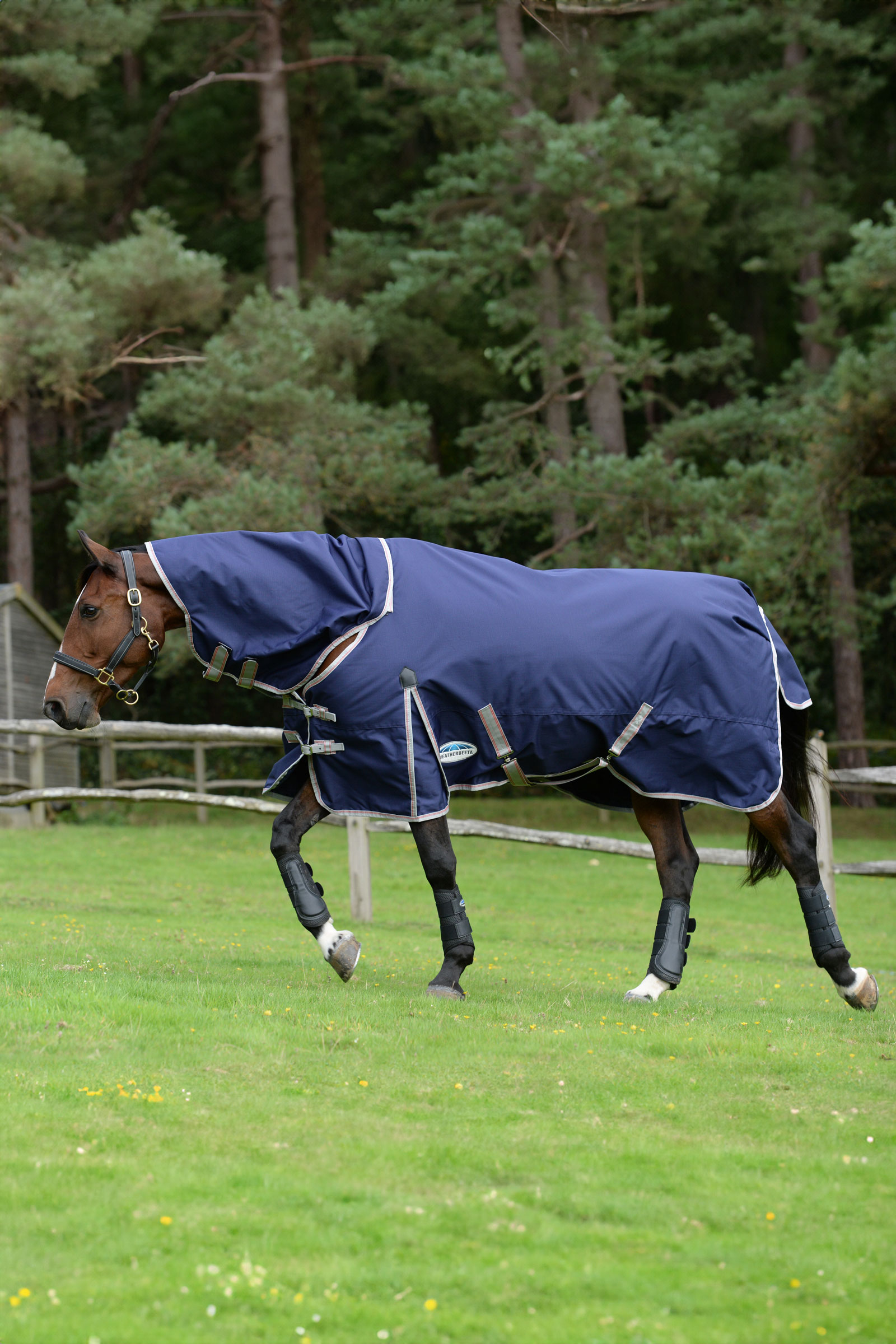 Weatherbeeta Comfitec Essential Detach-a-Neck Medium Turnout Rug, 220g