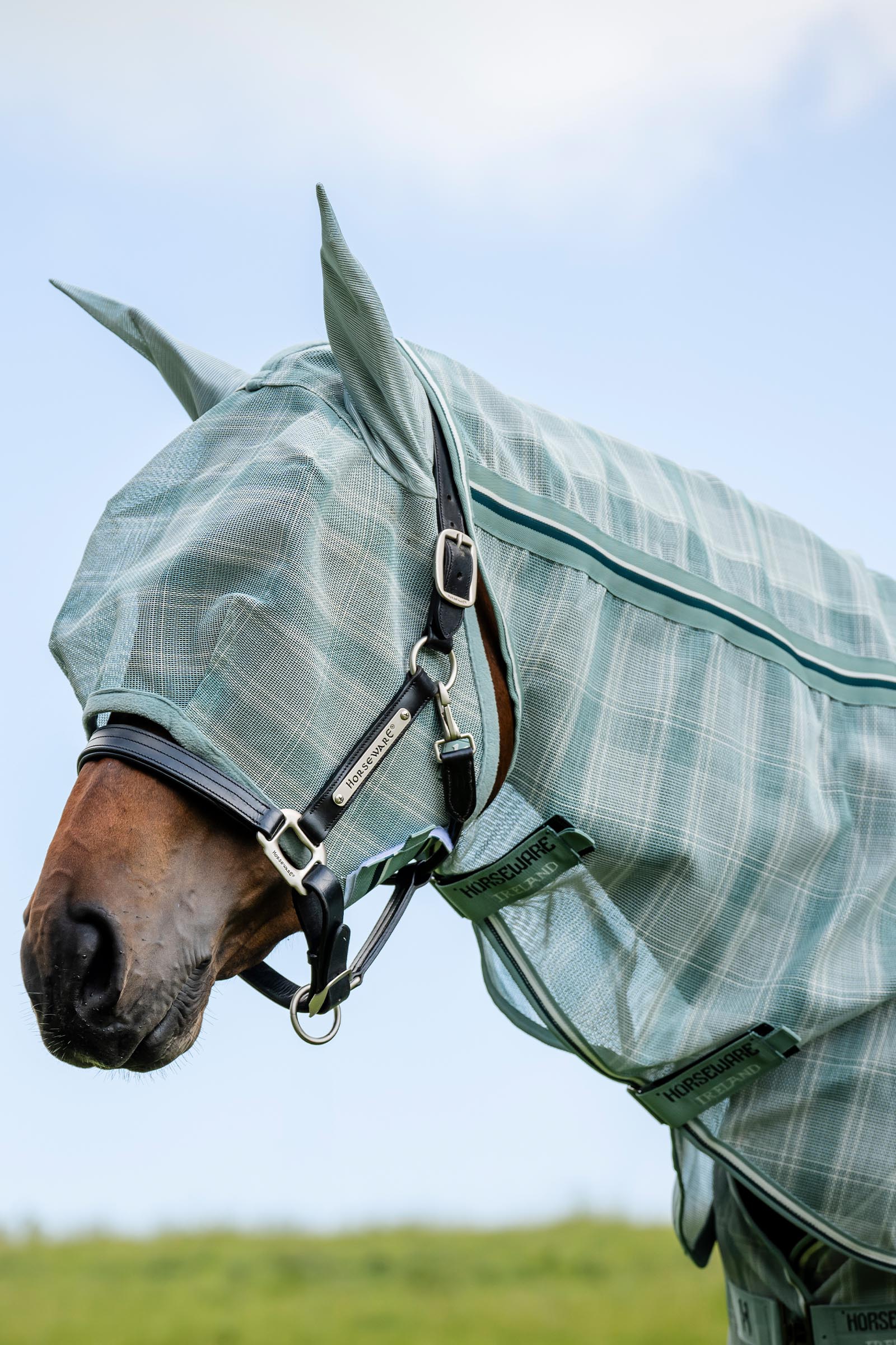 Witney Dynasty Horseware Newmarket Fluemaske