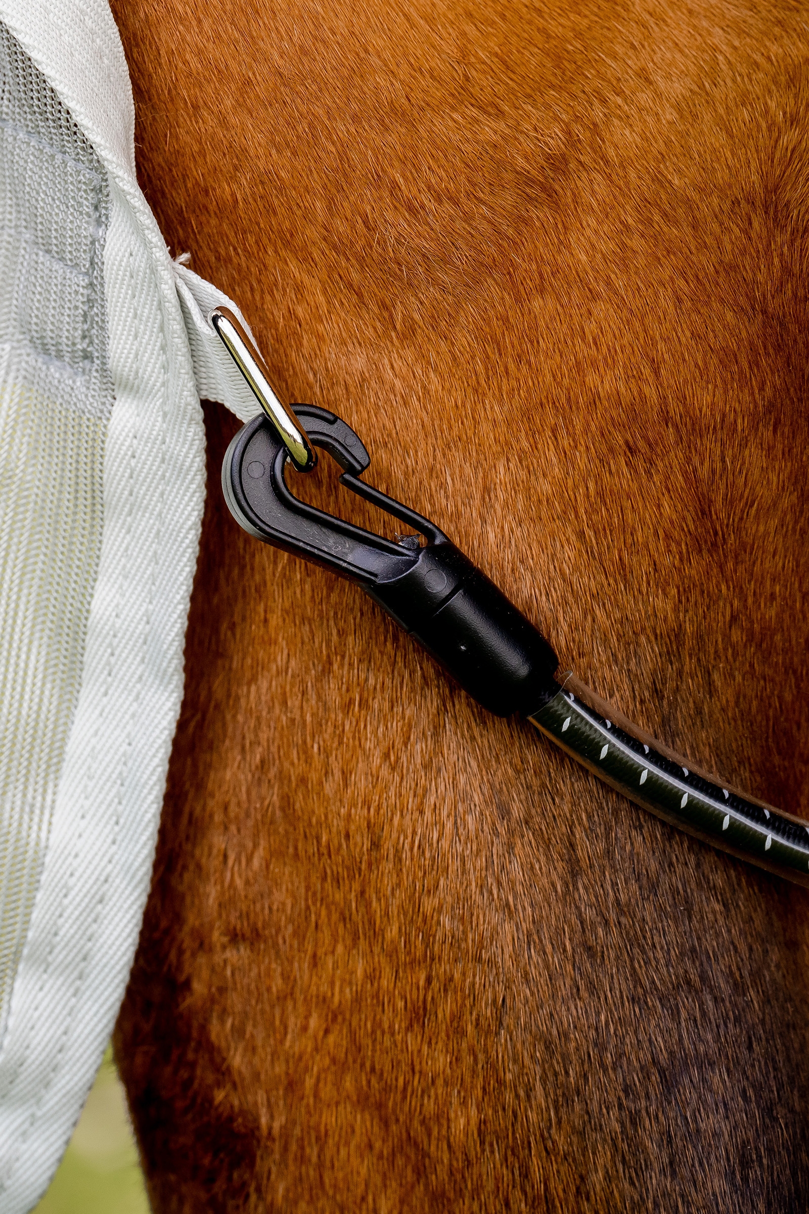 Horseware Amigo AmEco Combi fluedekken
