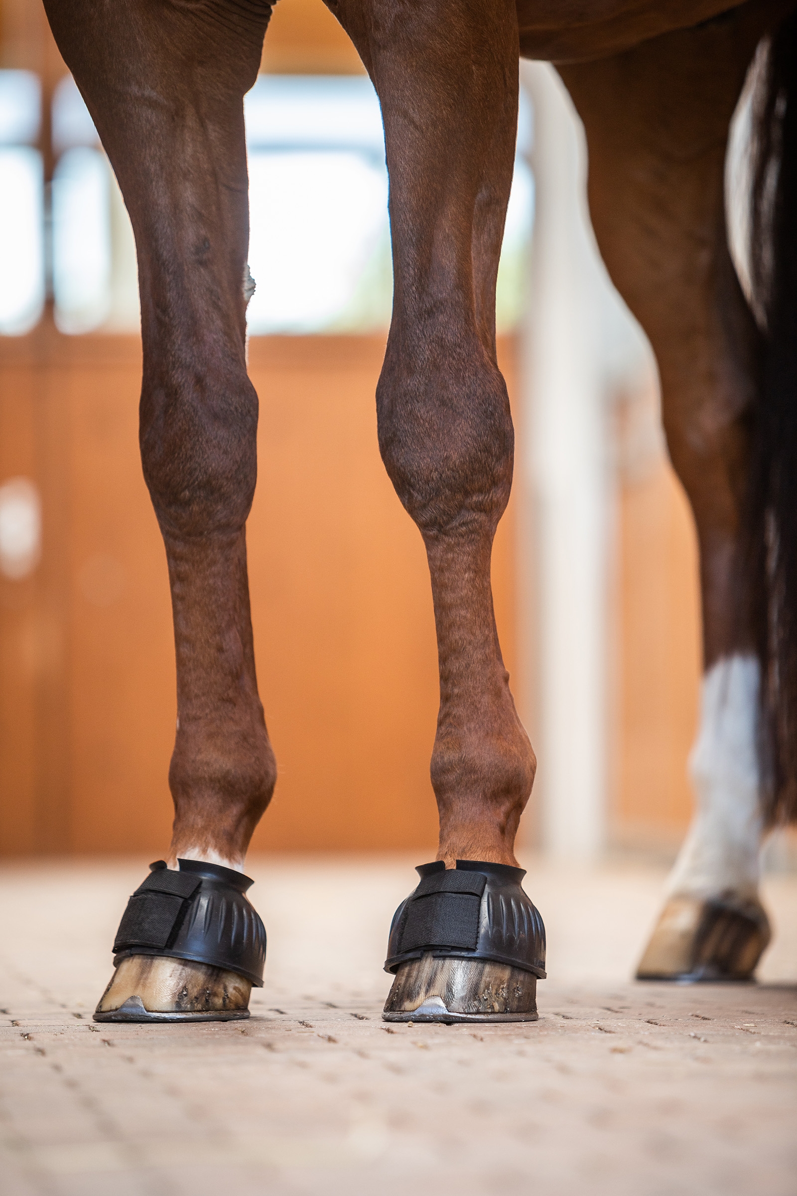 Horze Anti-Twist Lock-On kopper