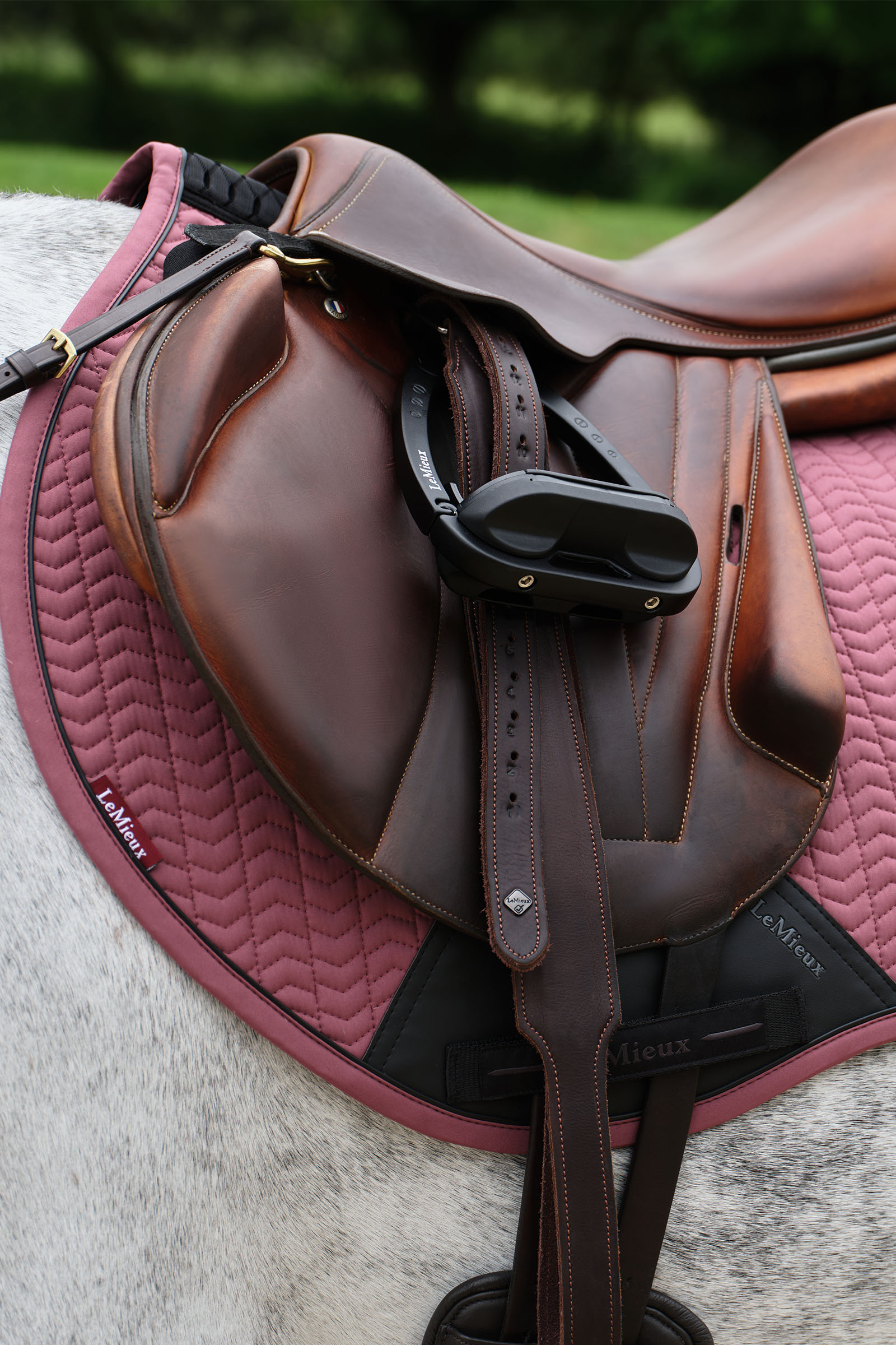 LeMieux Essence Eurojump Sprangsjabrak