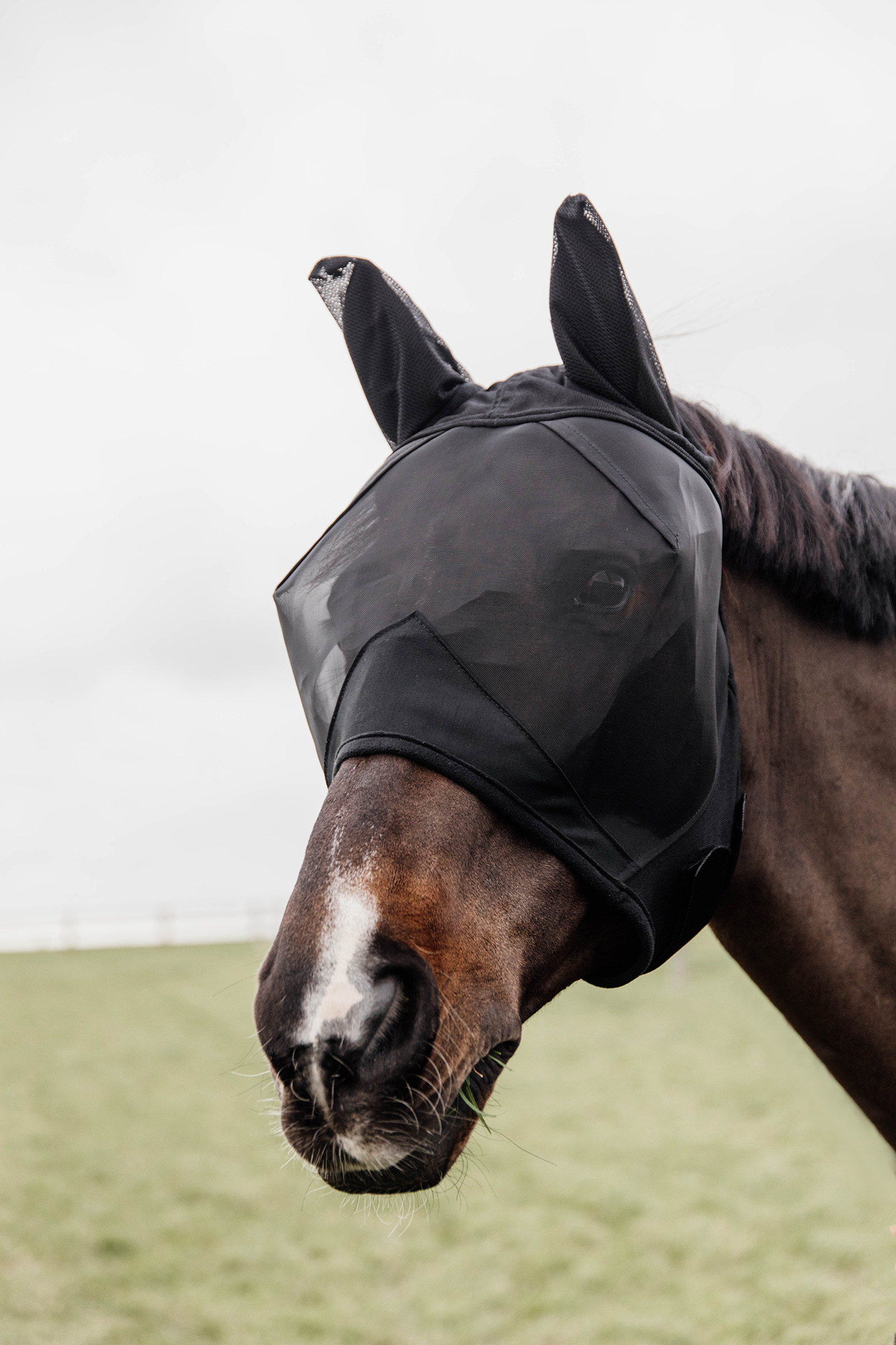 Kentucky Horsewear Classic fluemaske med ører