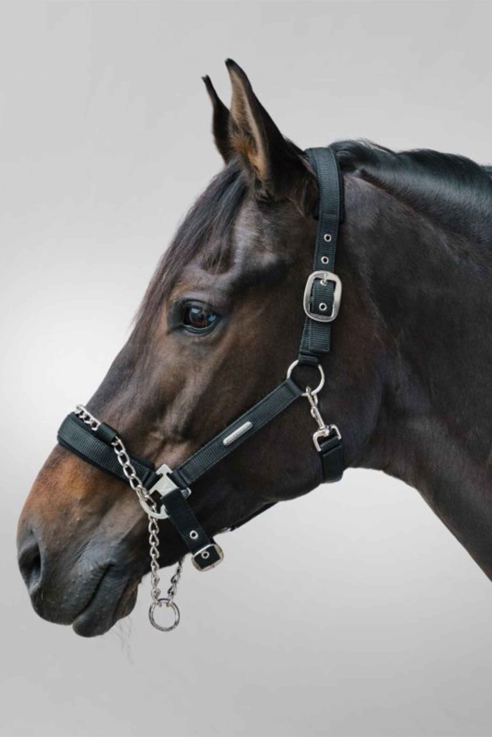 Waldhausen Pro Safety grime