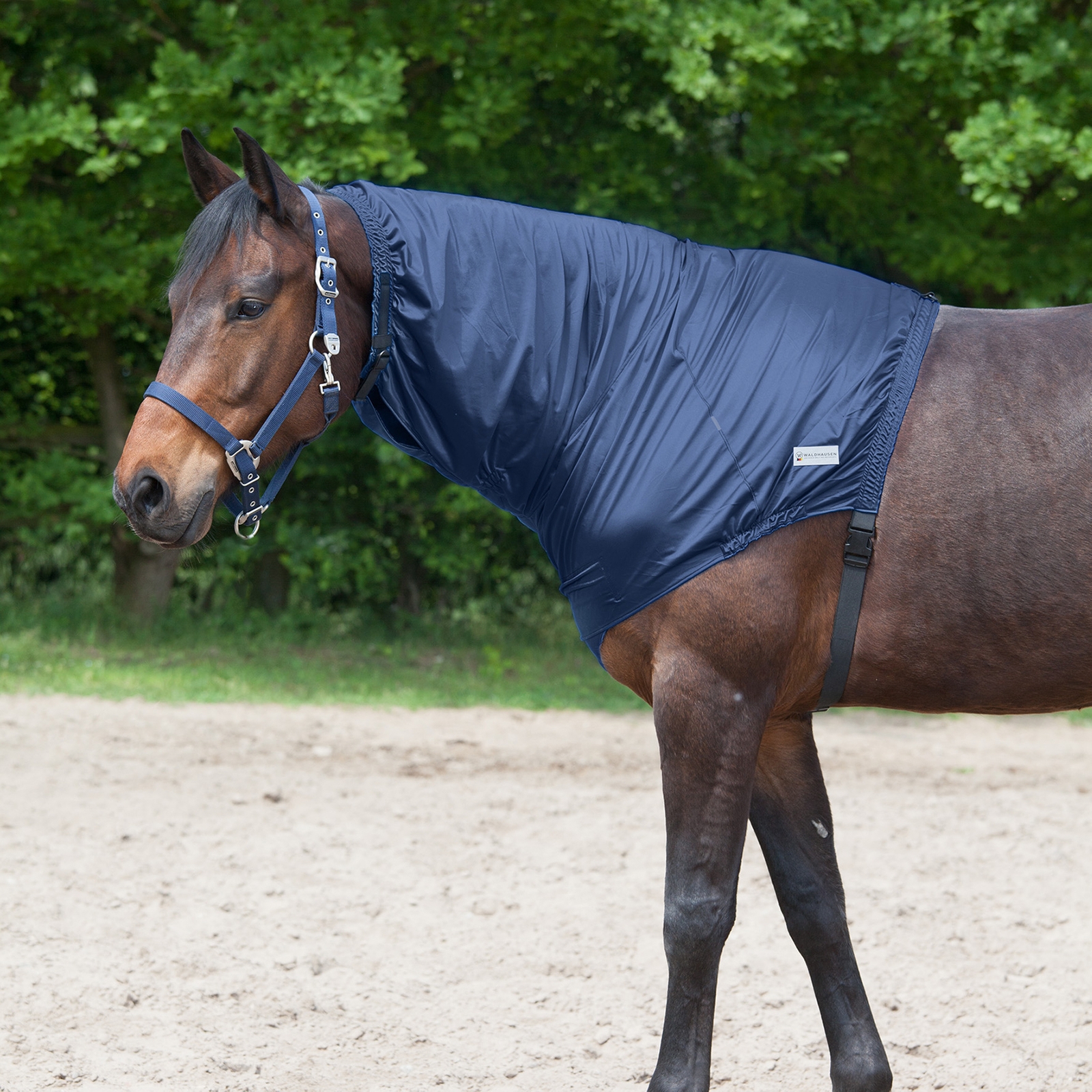 Waldhausen Eczema hals