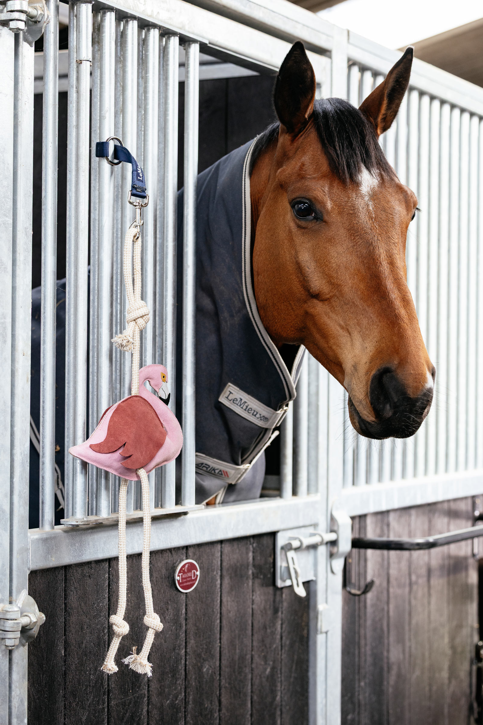 LeMieux hesteleke flamingo