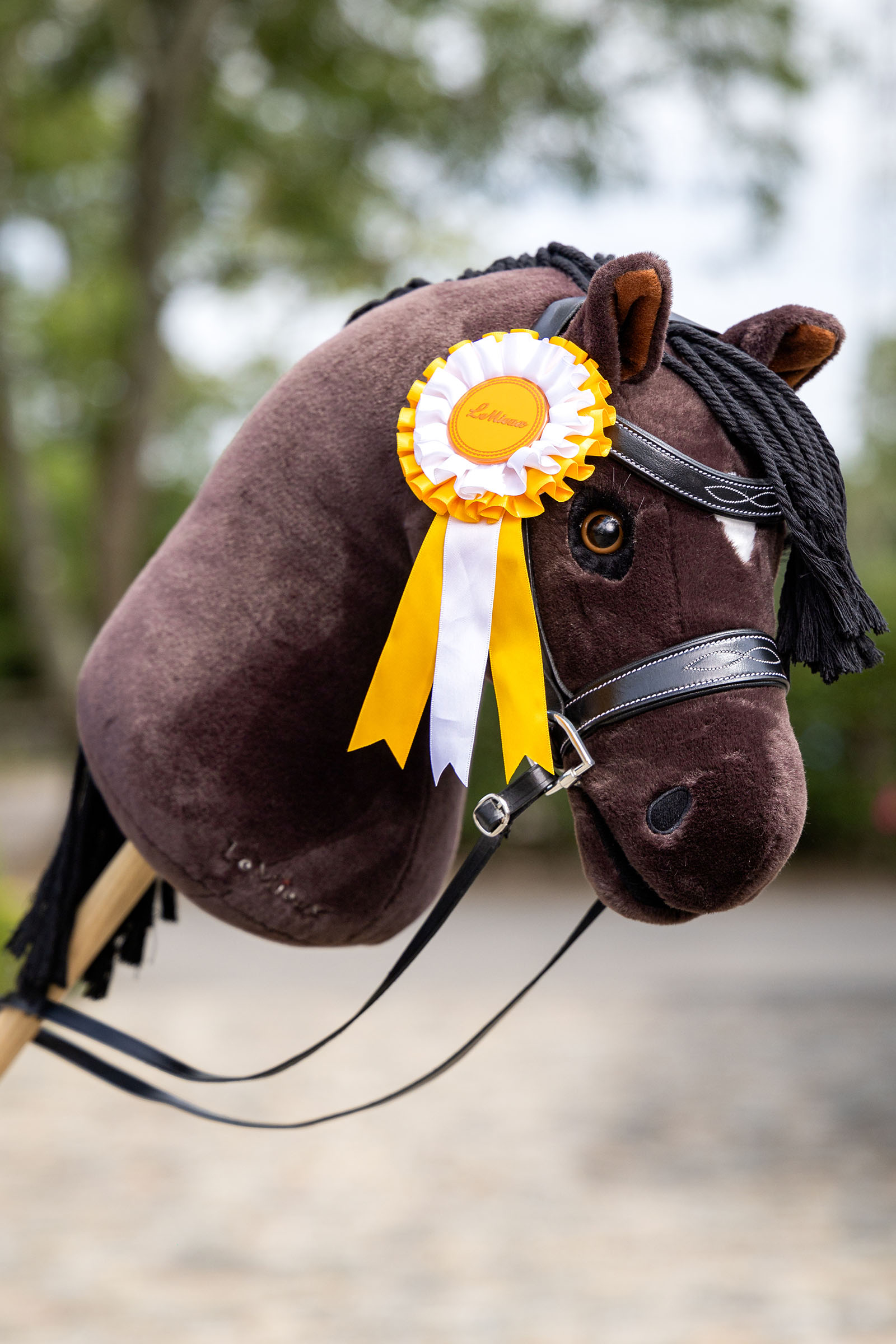 LeMieux Hobby Horse rosettpakke