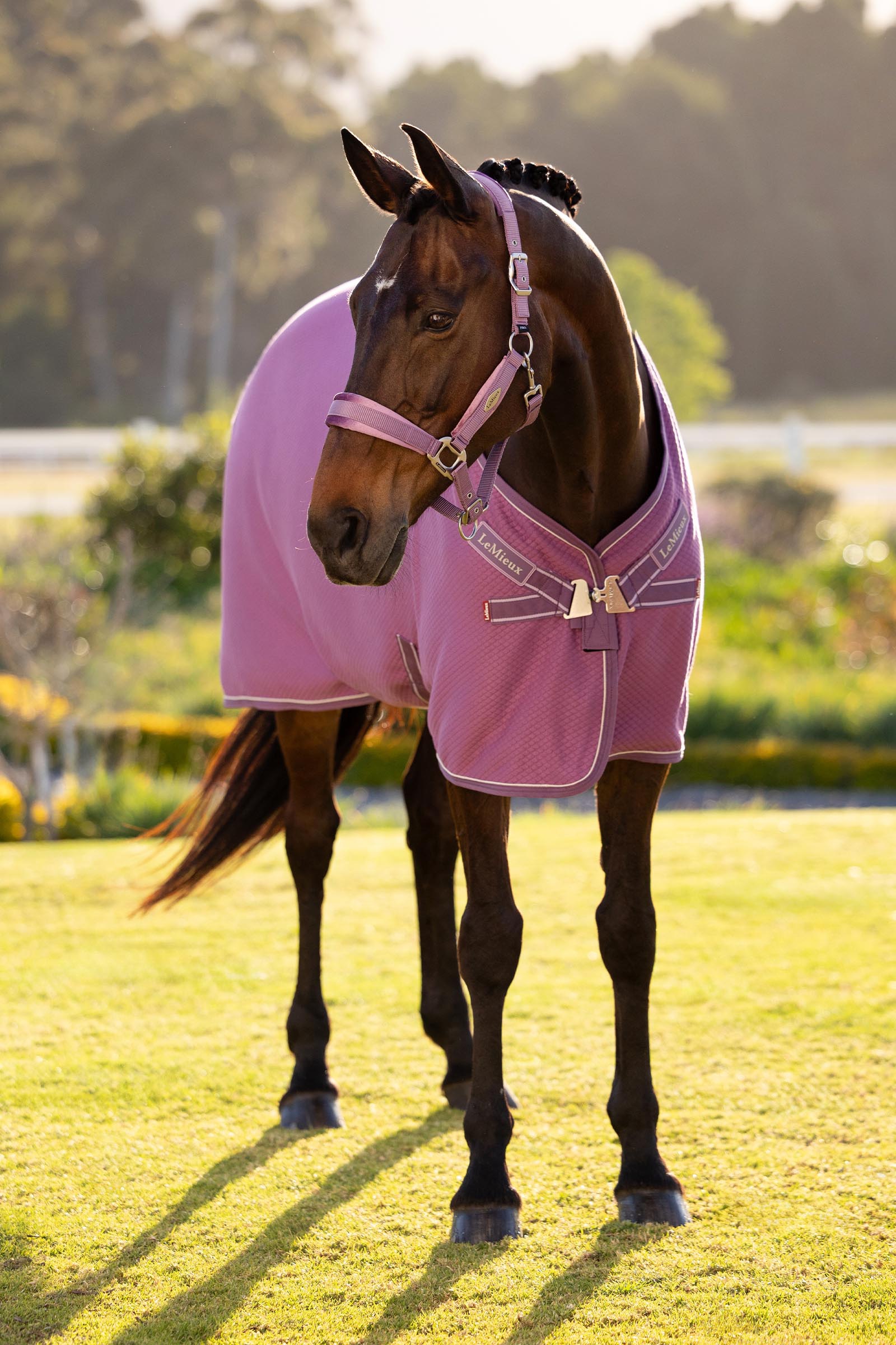 LeMieux Kudos bambus cooler dekken