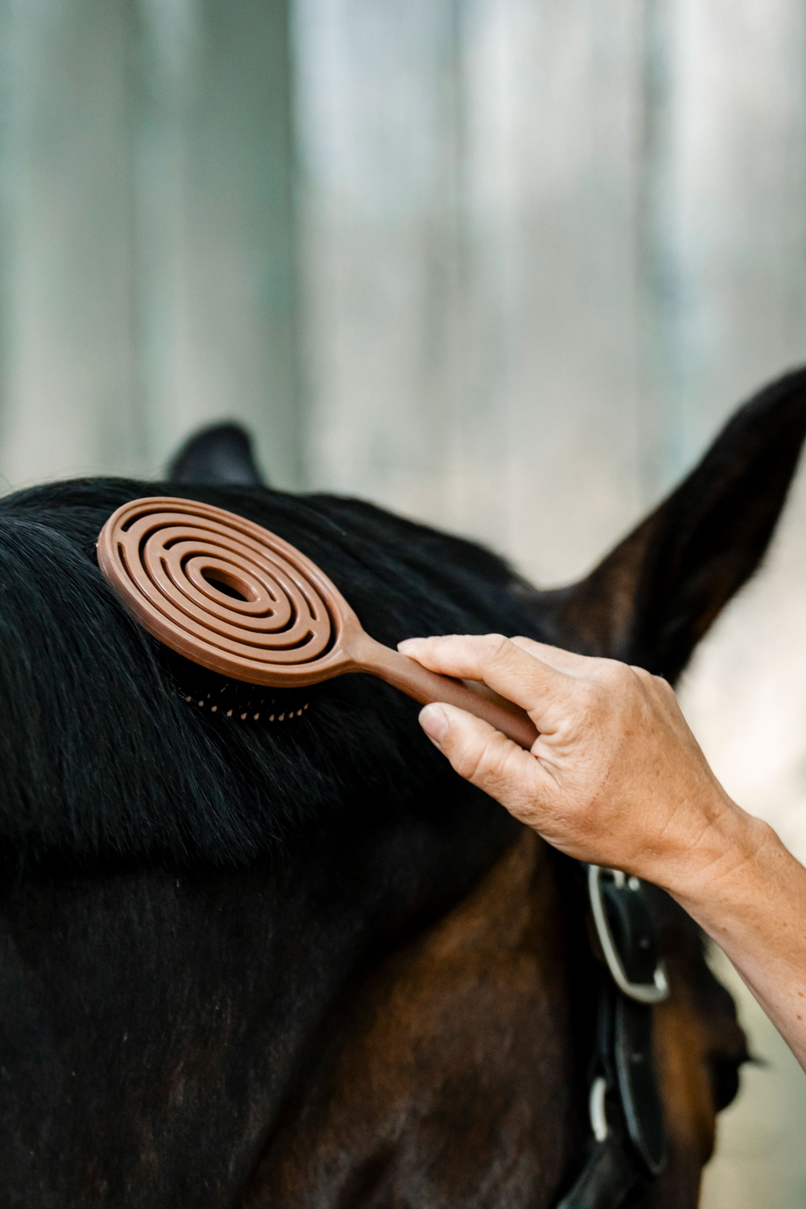 Horseware man- og haleb&oslash;rste