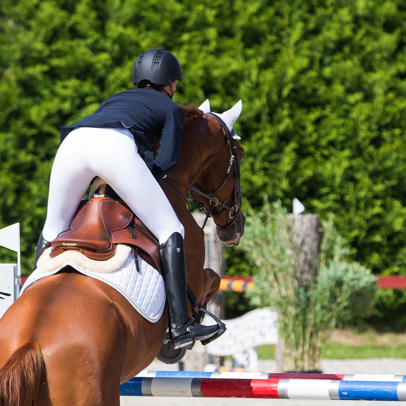 Horze Winslow ridestøvler i ekte lær