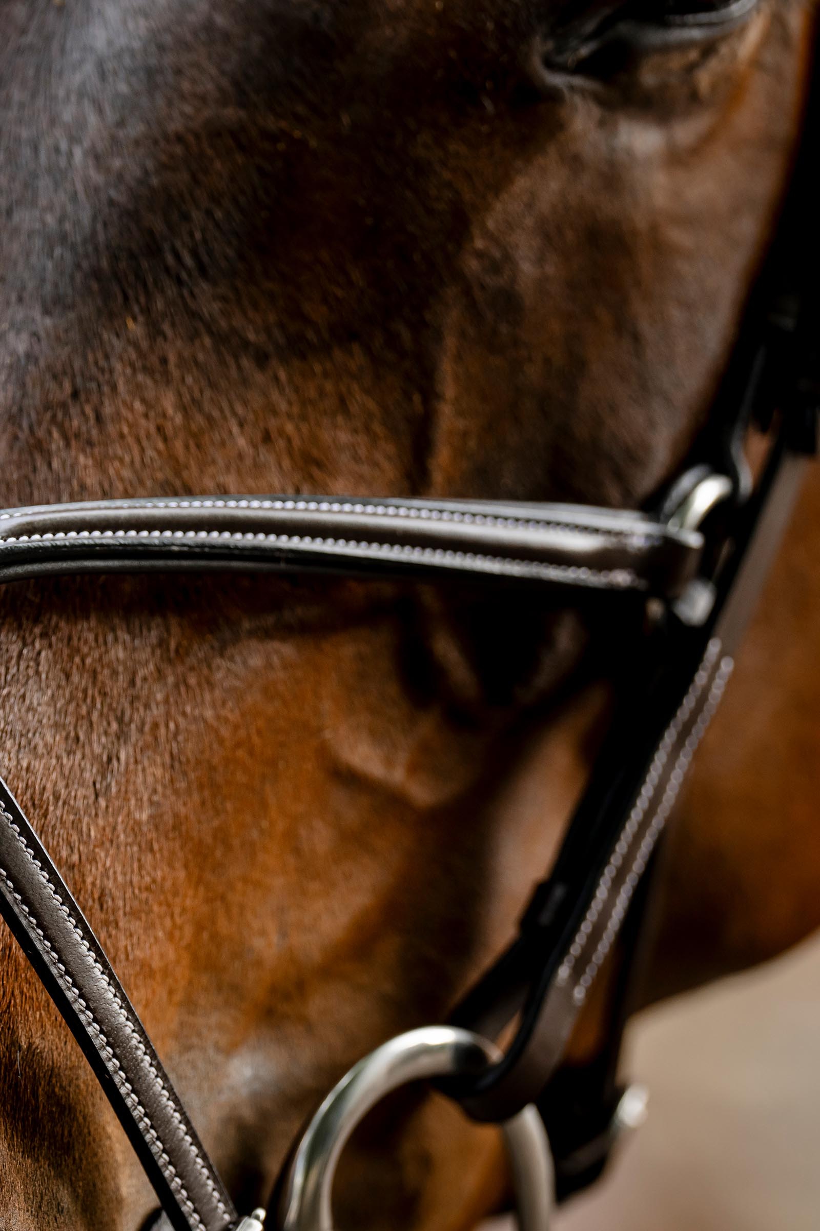 Horseware trinse med &aring;ttetallsnesereim