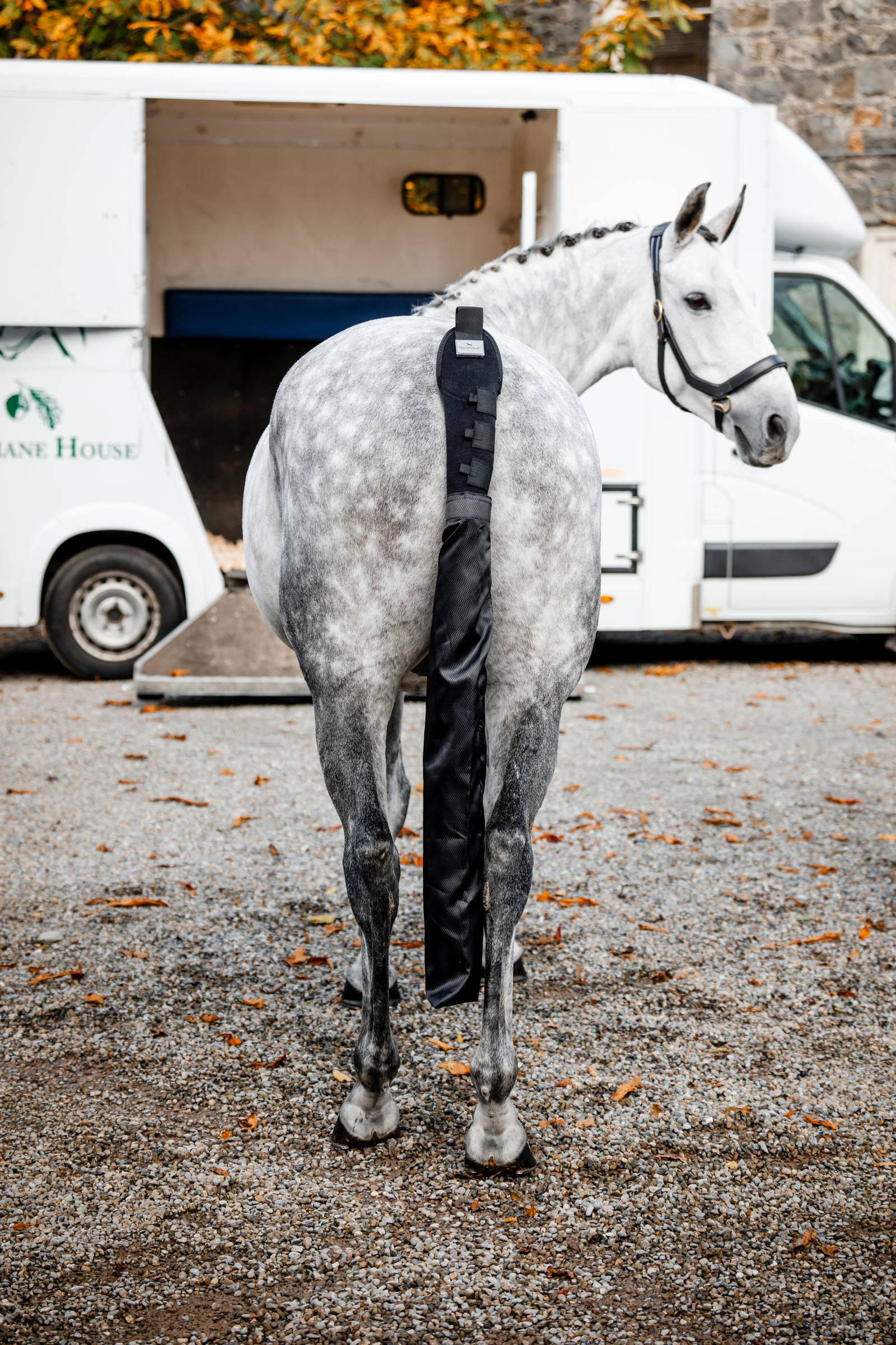 Horseware Halebeskytter med pose